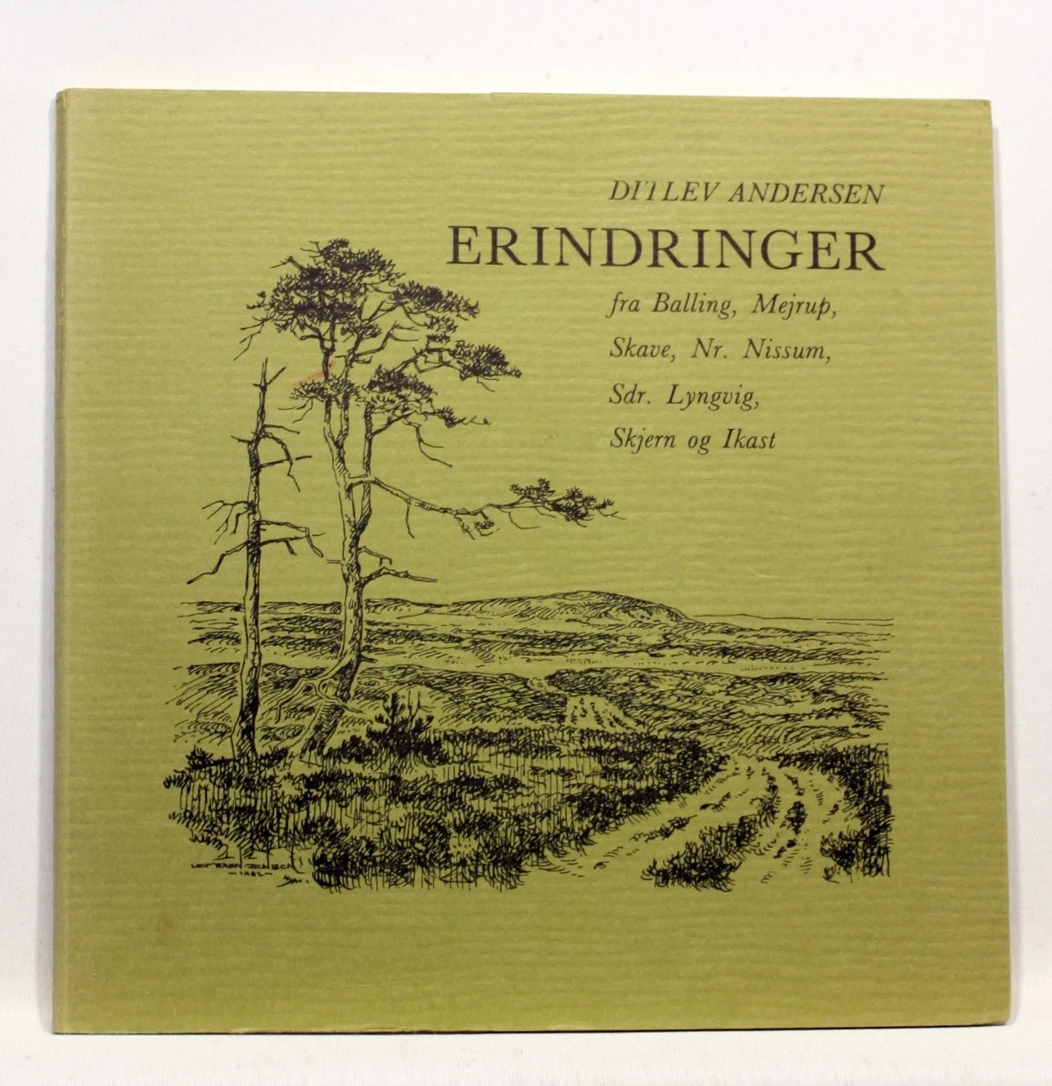 Erindringer fra Balling, Mejrup, Skave, Nr, Nissum, Sdr. Lyngvig, Skjern og Ikast