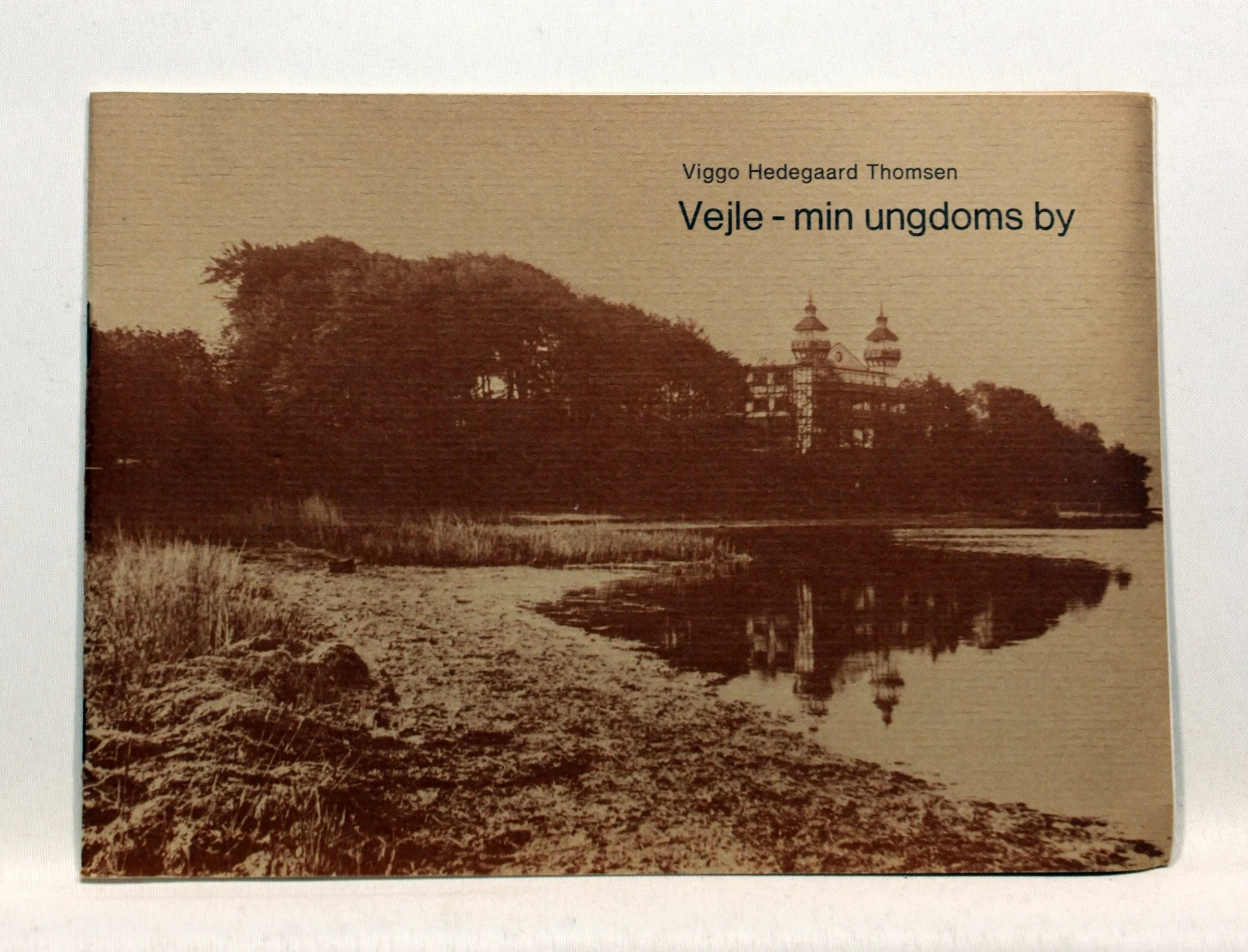 Vejle – min ungdoms by