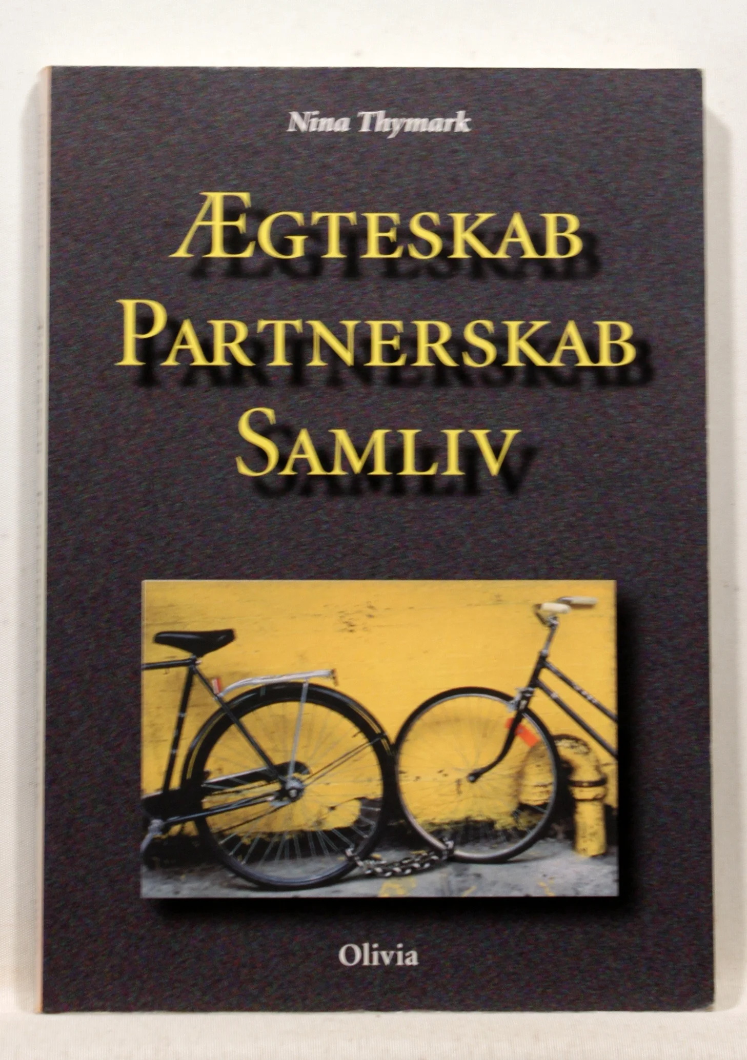 Ægteskab – partnerskab – samliv