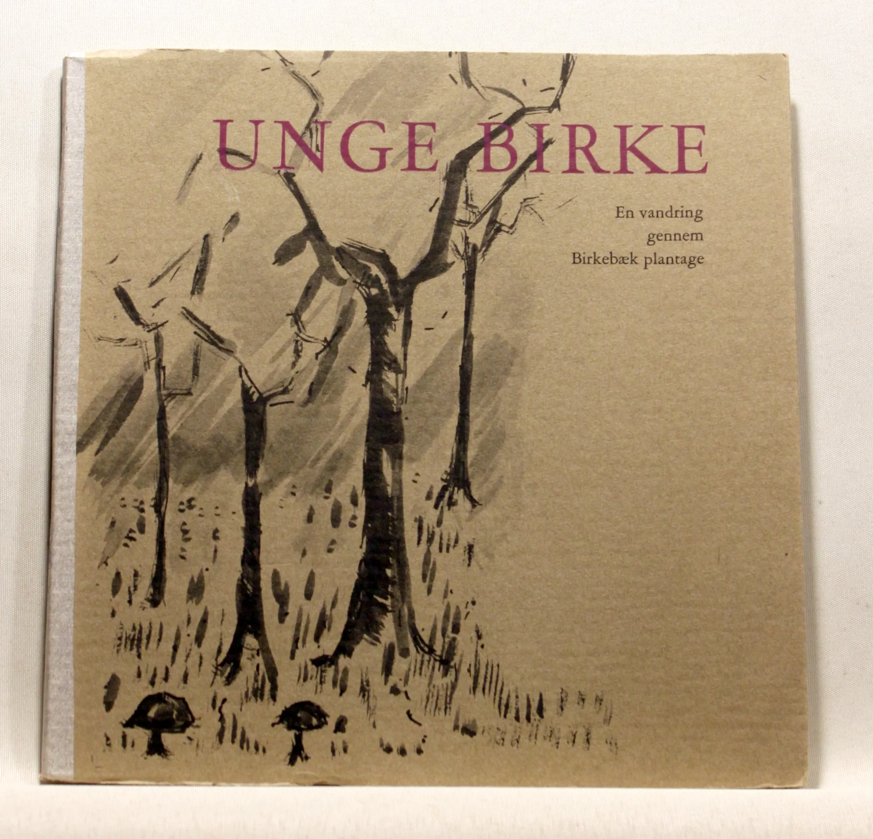 Unge birke. En vandring gennem Birkebæk plantage