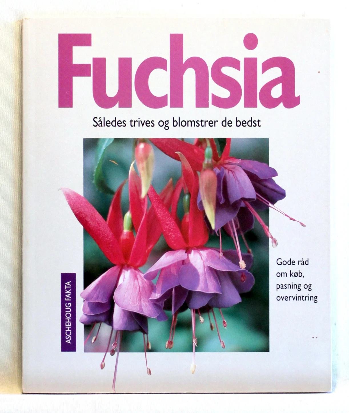 Fuchsia. Således trives og blomstrer de bedst