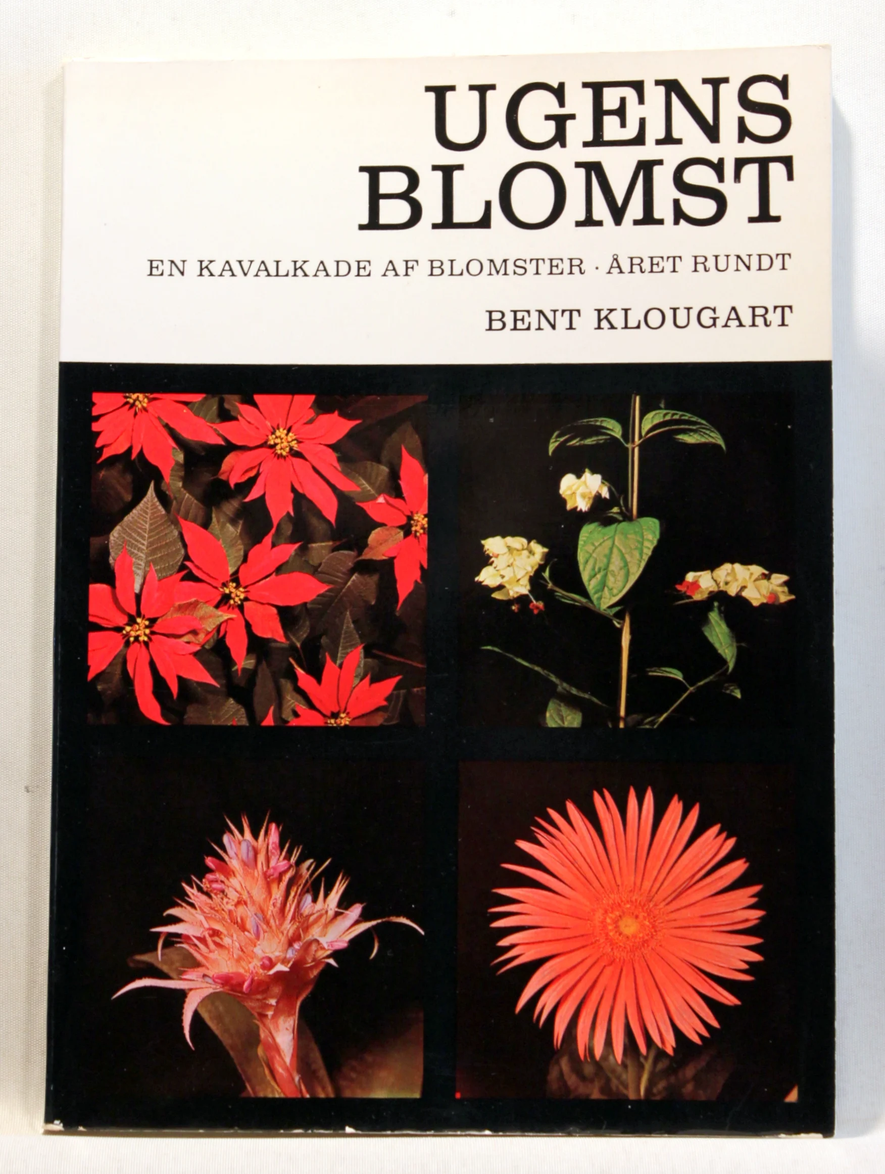 Ugens blomst – en kavalkade af blomster. Året rundt