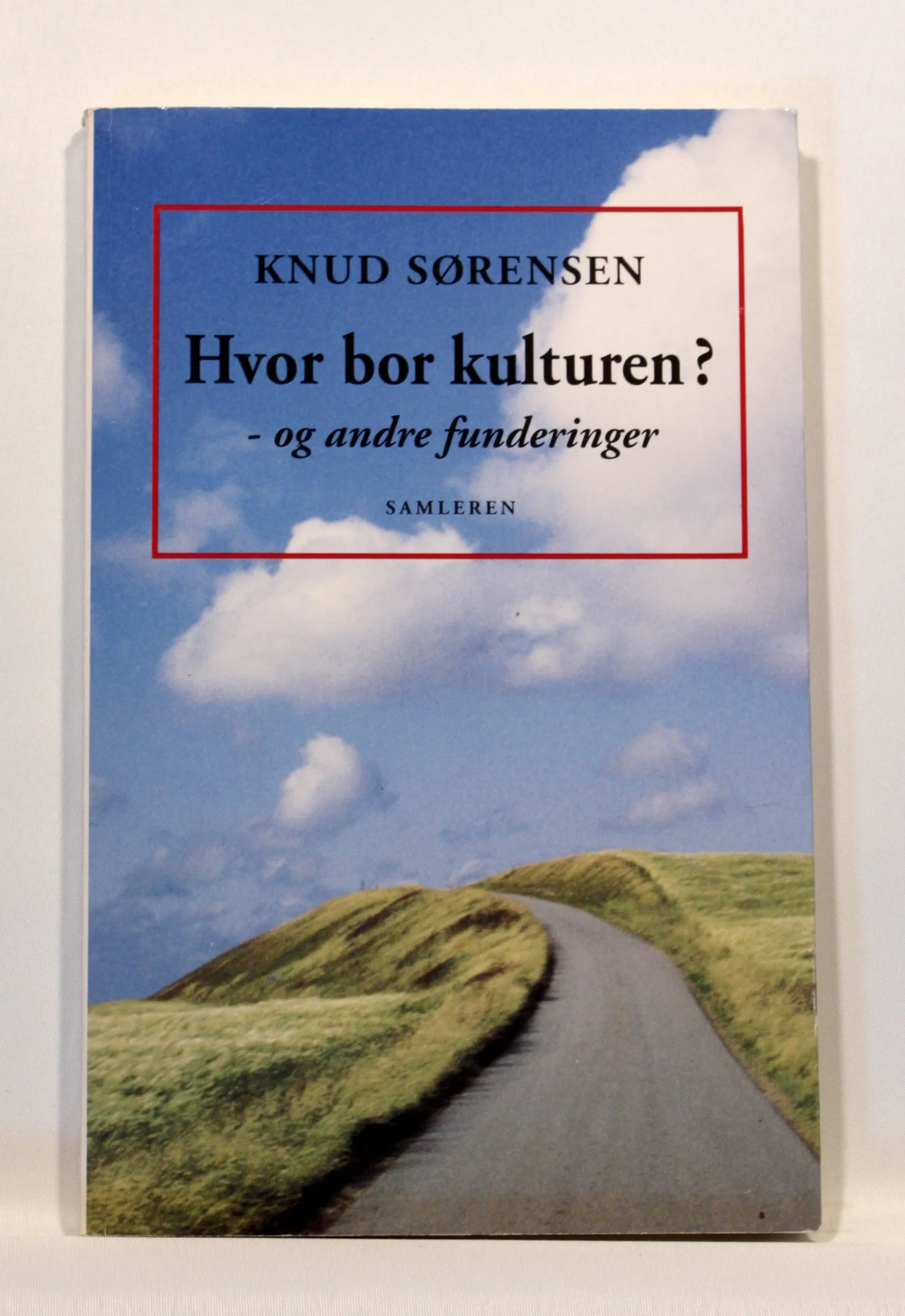 Hvor bor kulturen? og andre funderinger