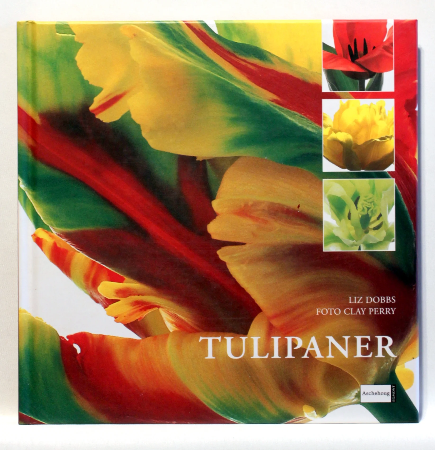 Tulipaner