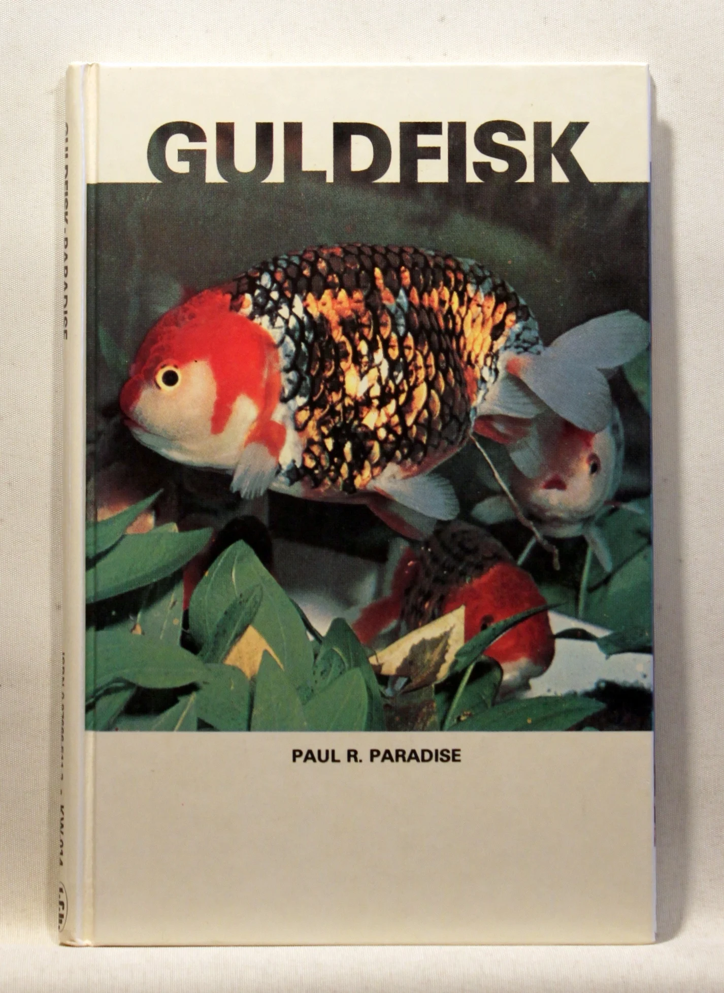 Guldfisk