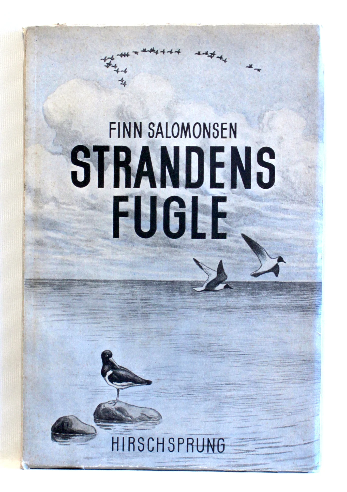 Strandens Fugle