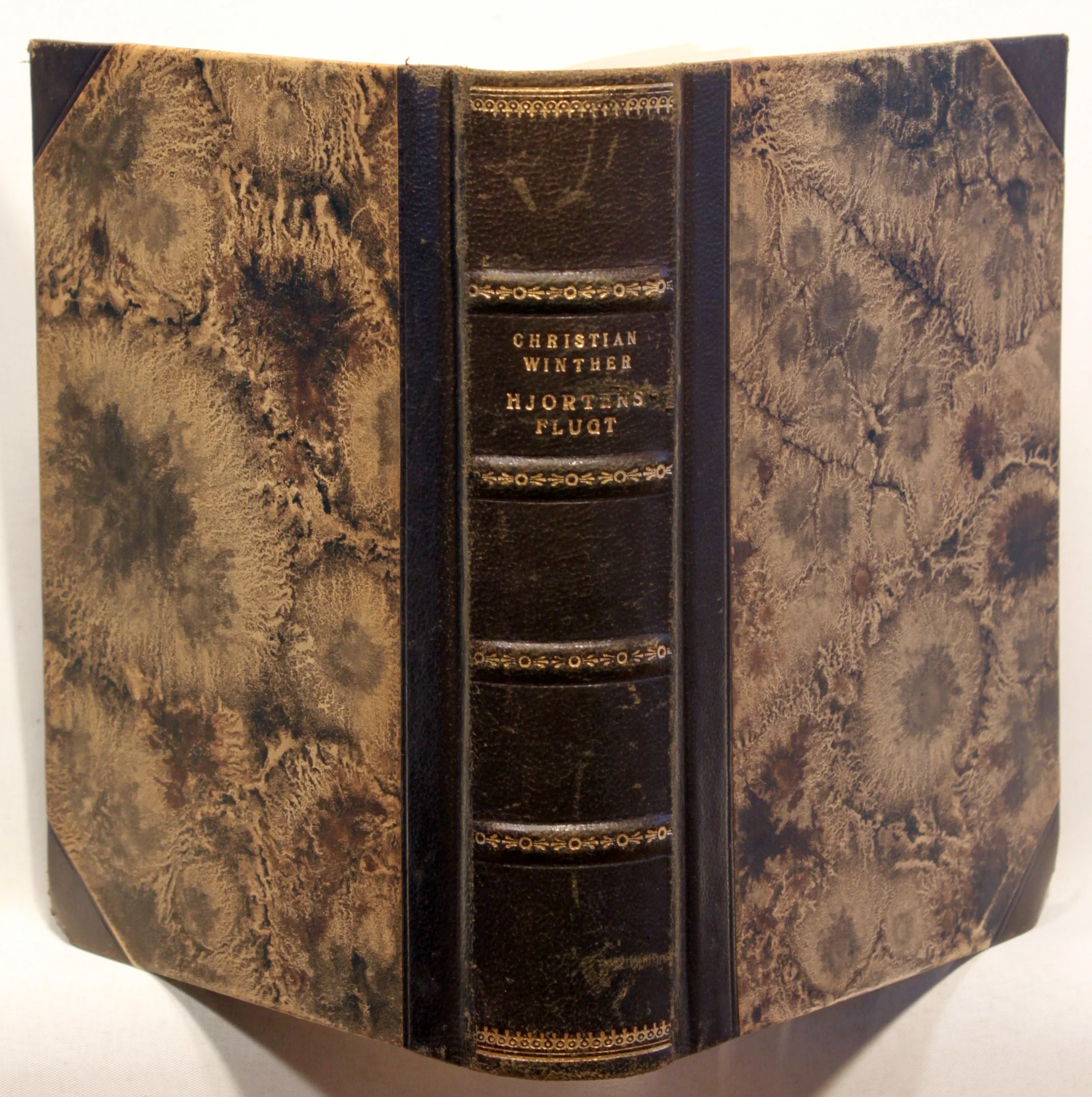 Hjortens Flugt. Et Digt.