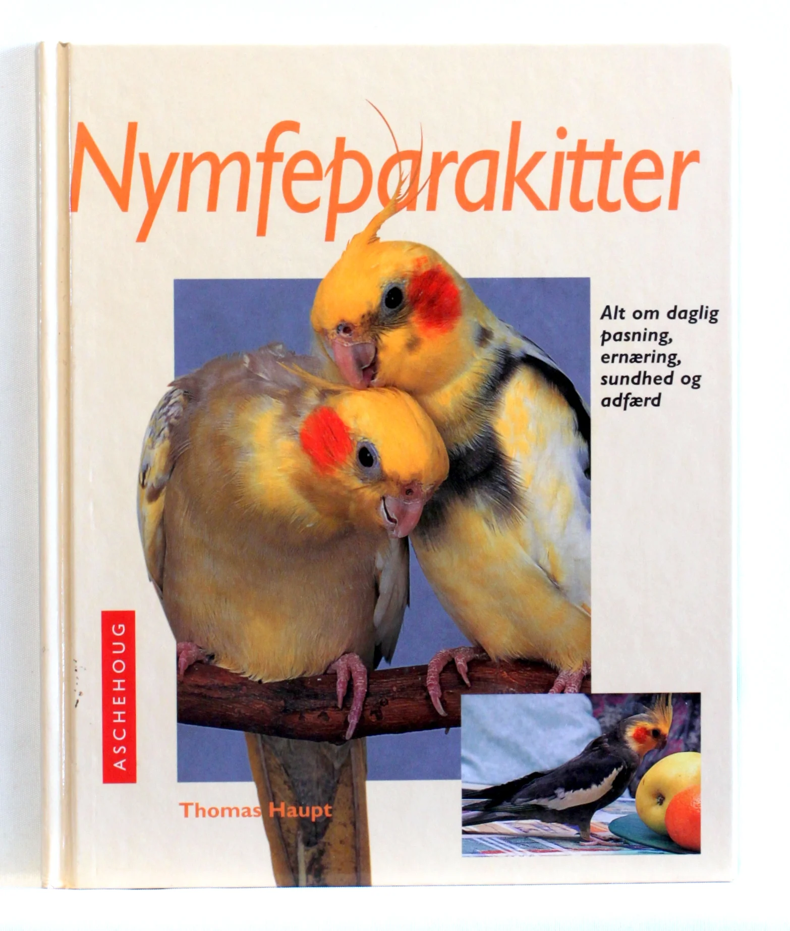 Nymfeparakitter