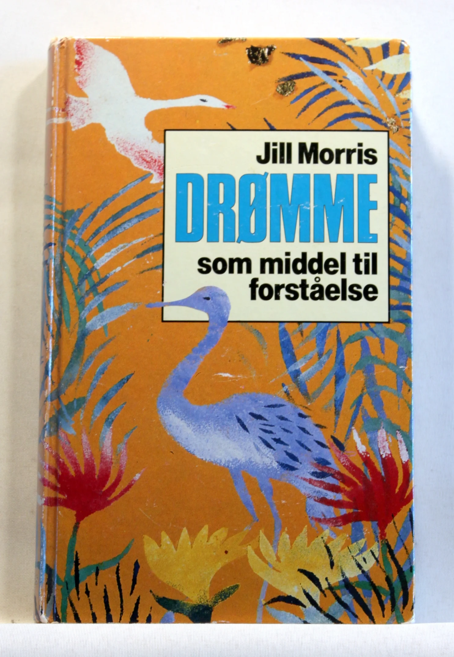 Drømme som middel til forståelse