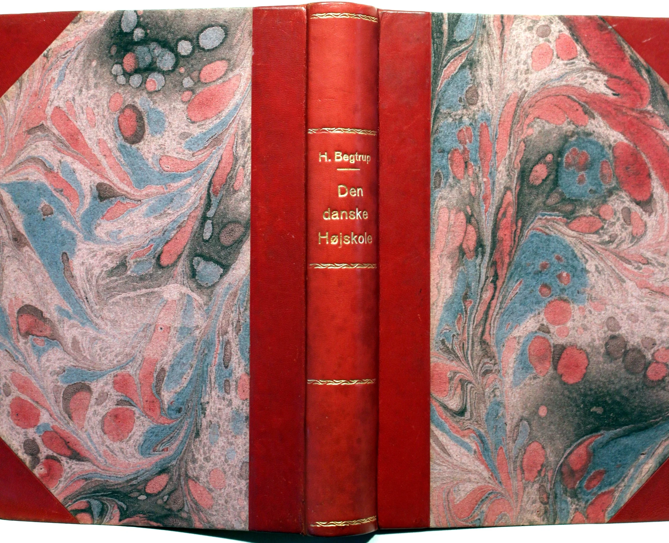 Den Danske Højskole