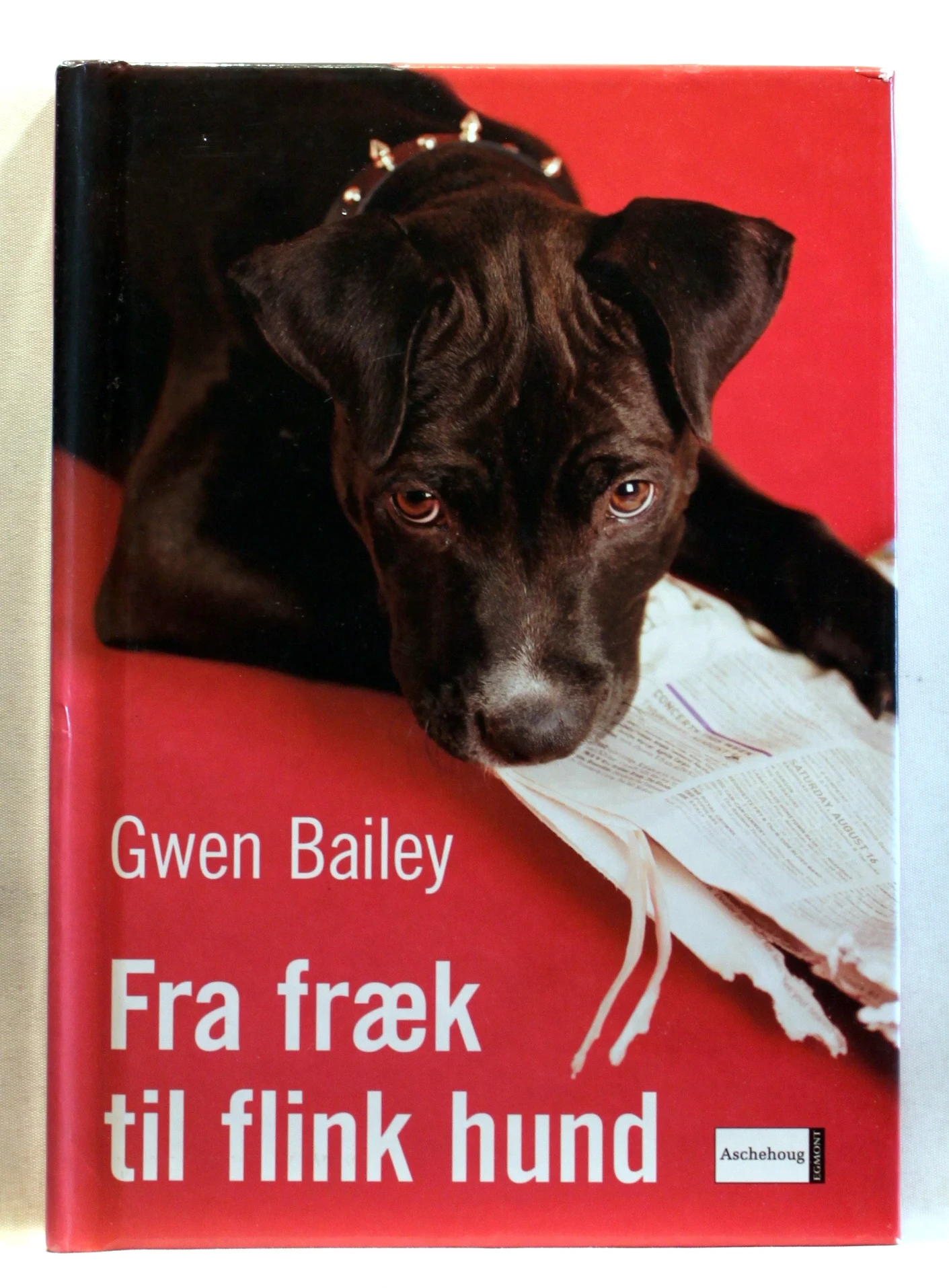 Fra fræk til flink hund