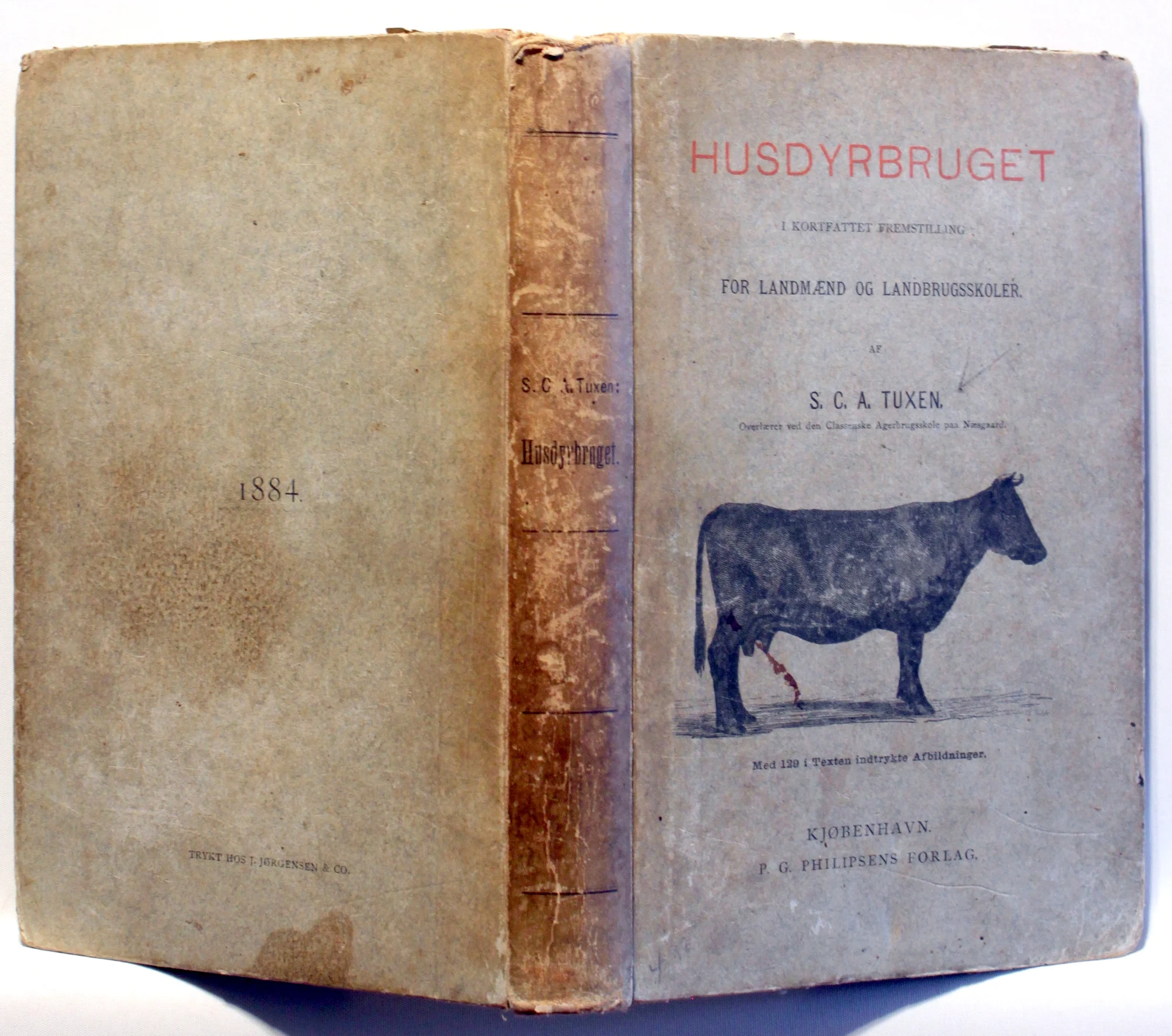 Husdyrbruget i kortfattet Fremstilling for Landmænd og Landbrugsskoler