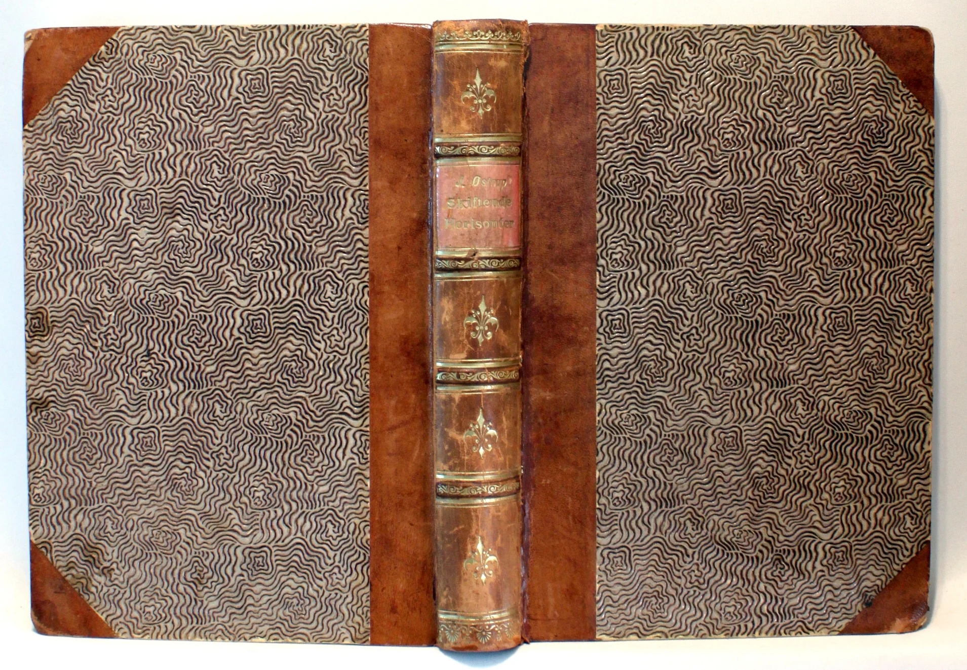 Skiftende horizonter. Skildringer og iagttagelser fra et ridt genem ørkenen og lille -Asien