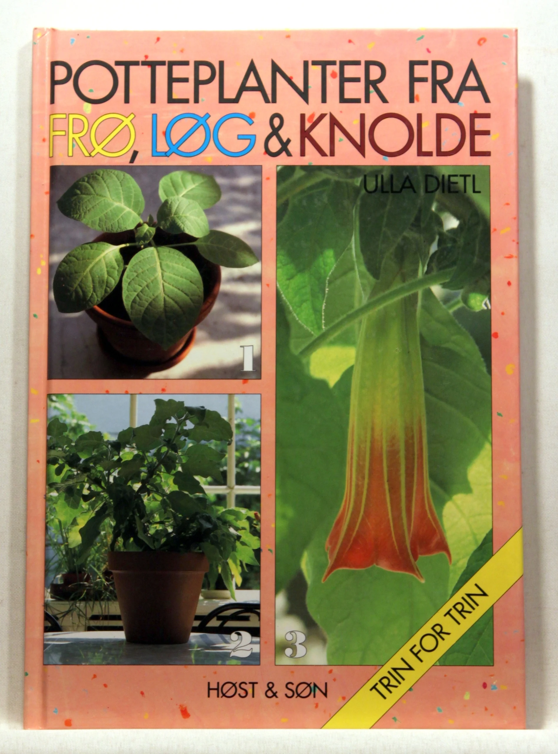 Potteplanter fra frø, løg & knolde