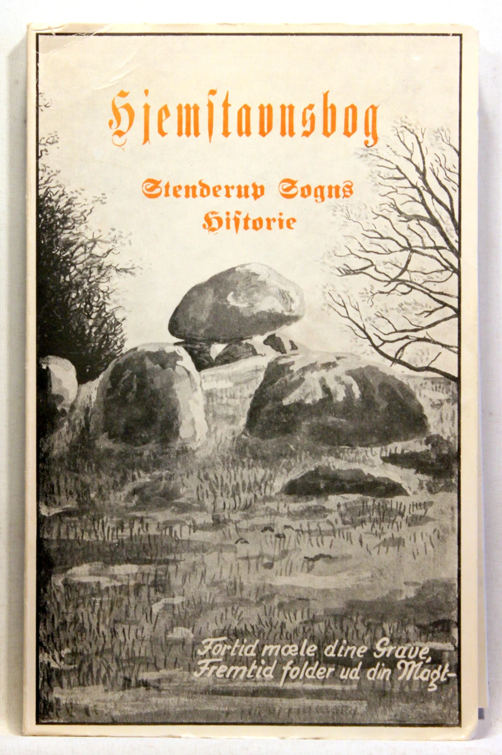 Hjemstavnsbog. Strejflys over Stenderup by og sogns historie igennem tiderne