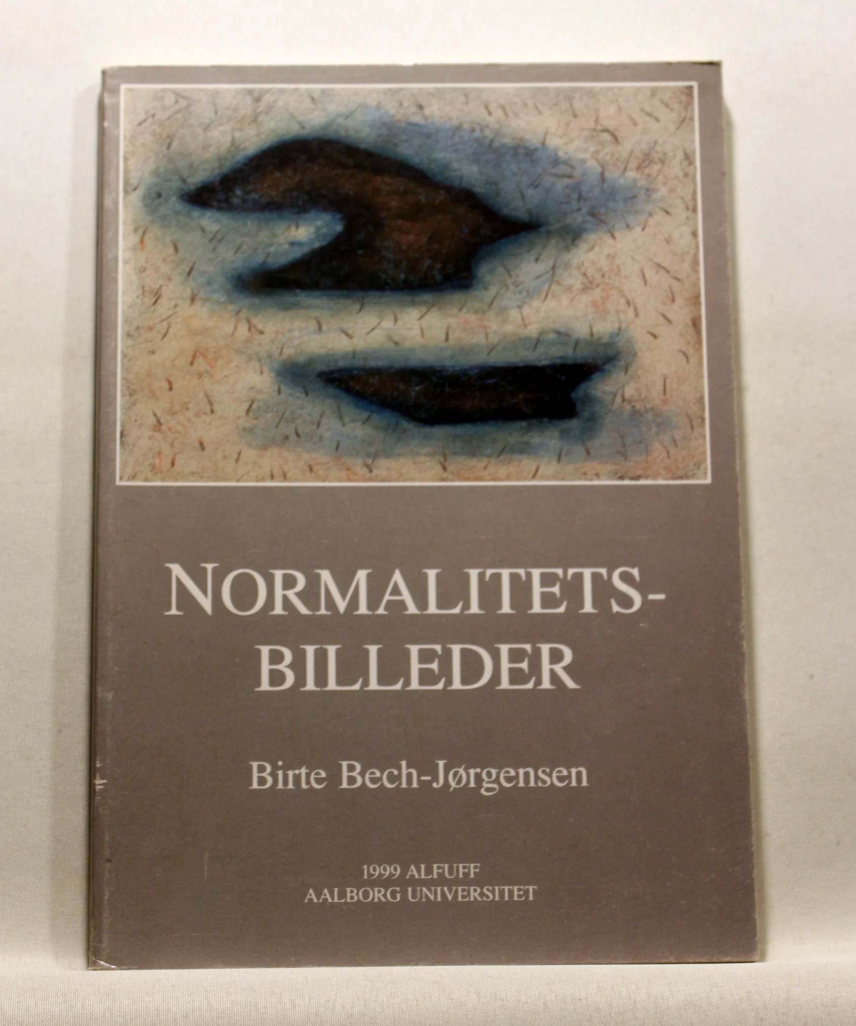 Normalitetsbilleder. En studie ud fra den tværgående evaluering af socialministeriets storbypulje