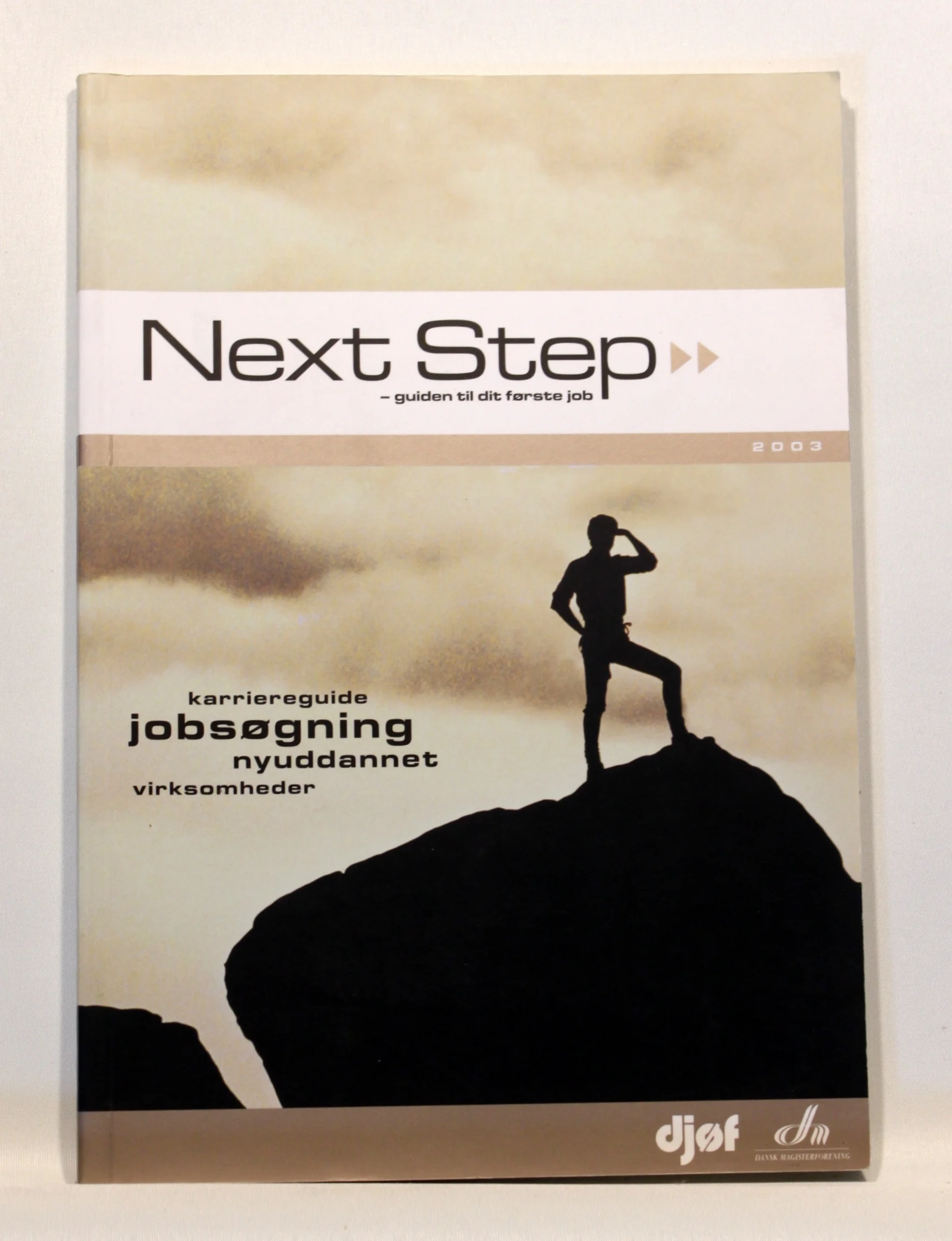 Next Step – Guiden til dit første job