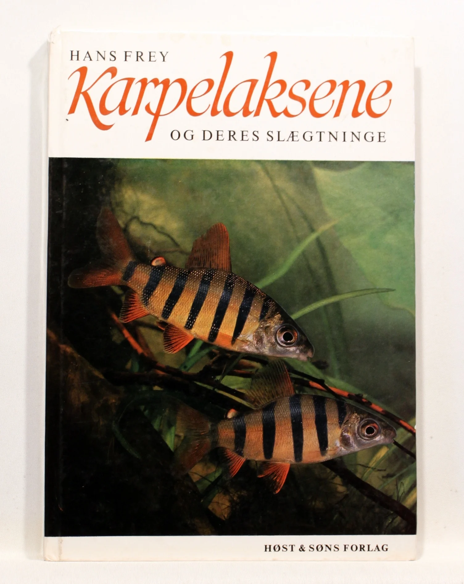 Karpelaksene og deres slægtninge