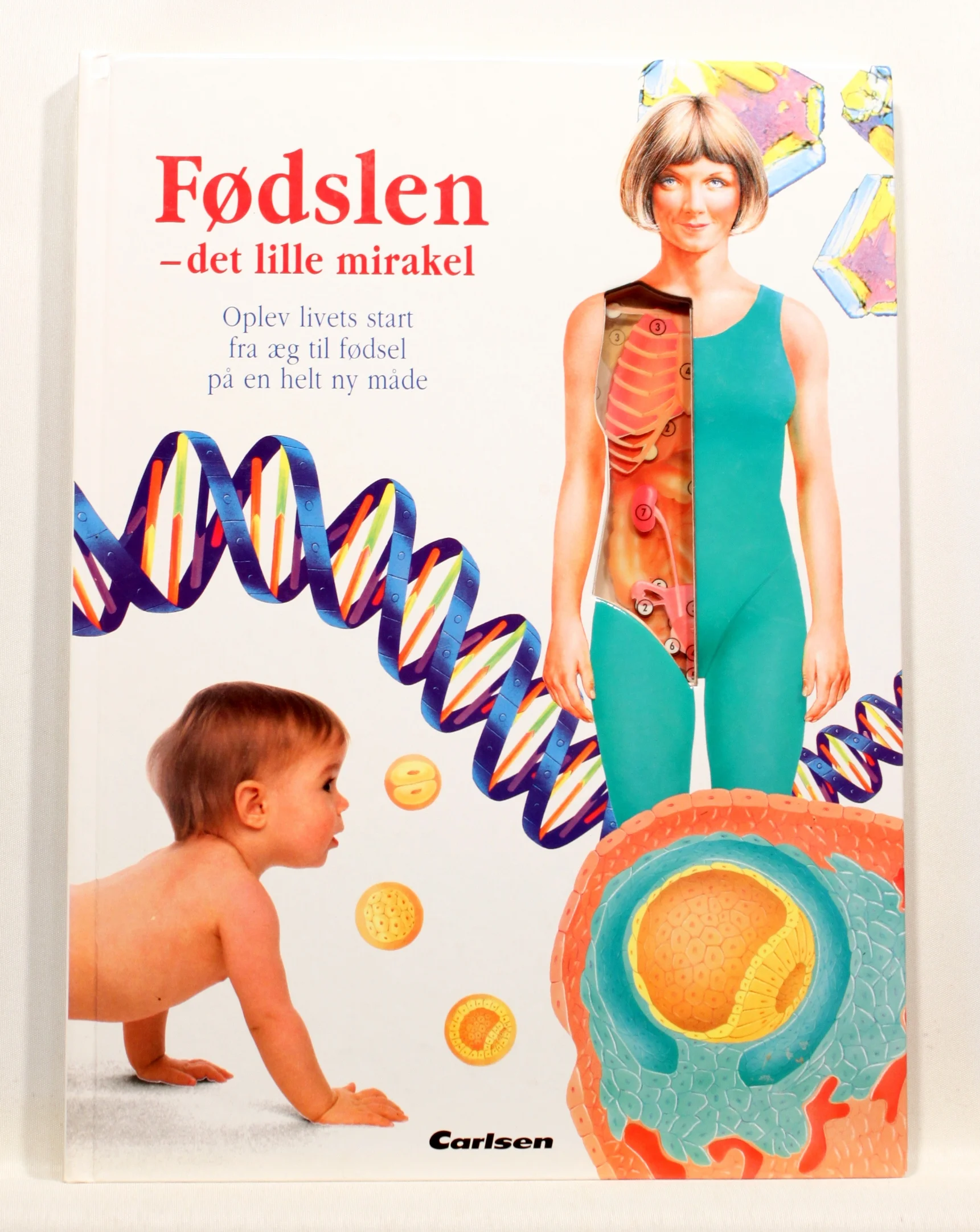 Fødslen – det lille mirakel. Oplev livets start fra æg til fødsel på en helt ny måde