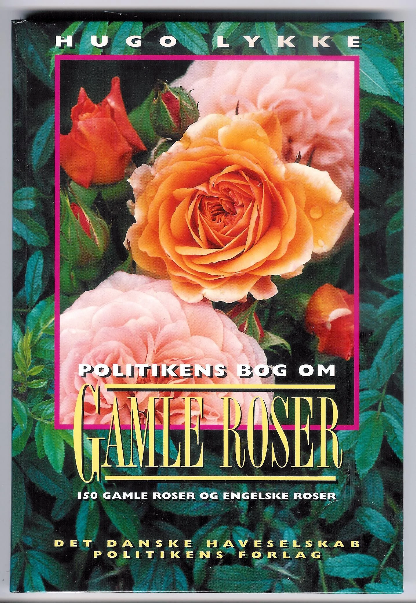 Politikens bog om gamle roser