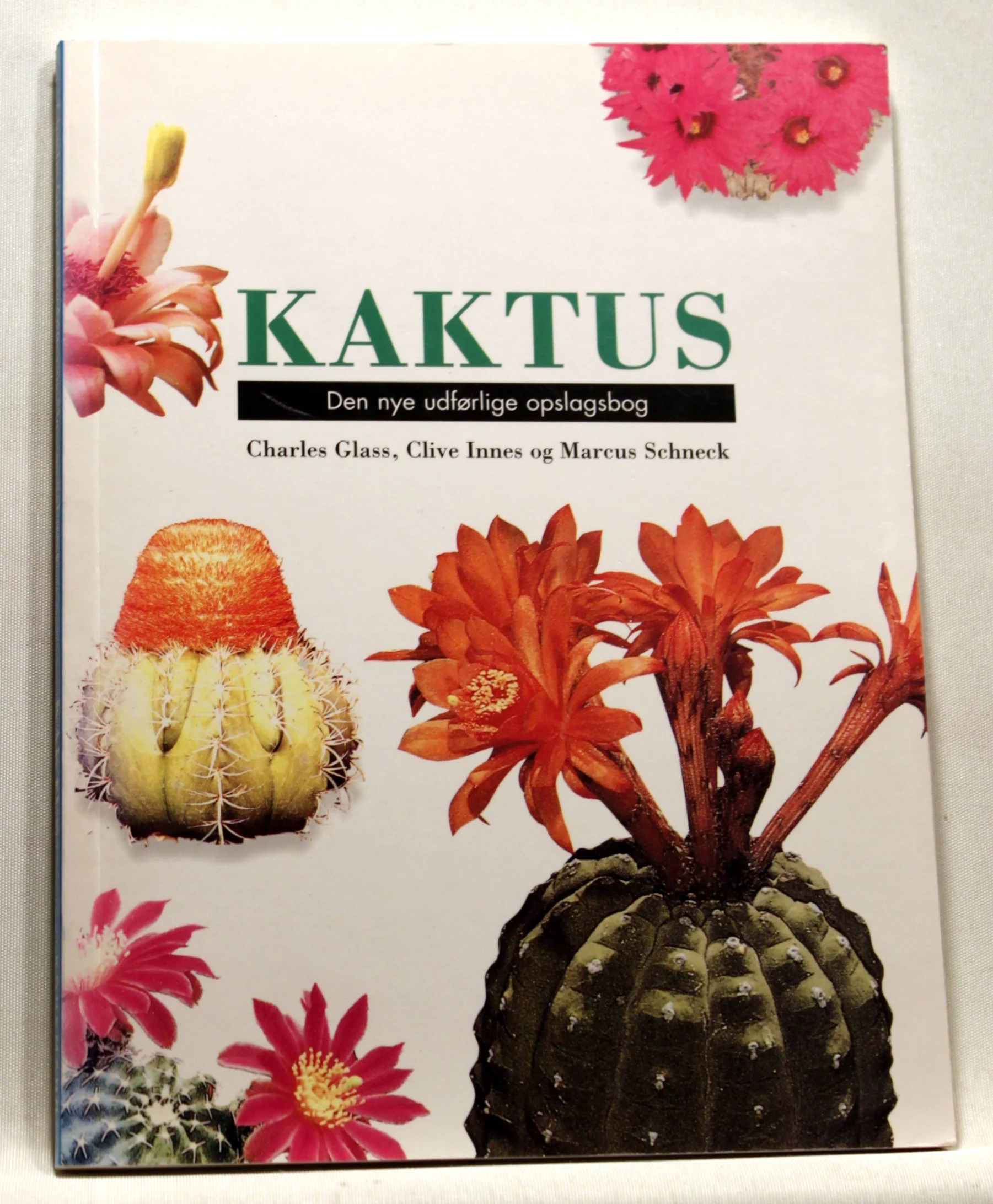 Kaktus. Den nye udførlige opslagsbog