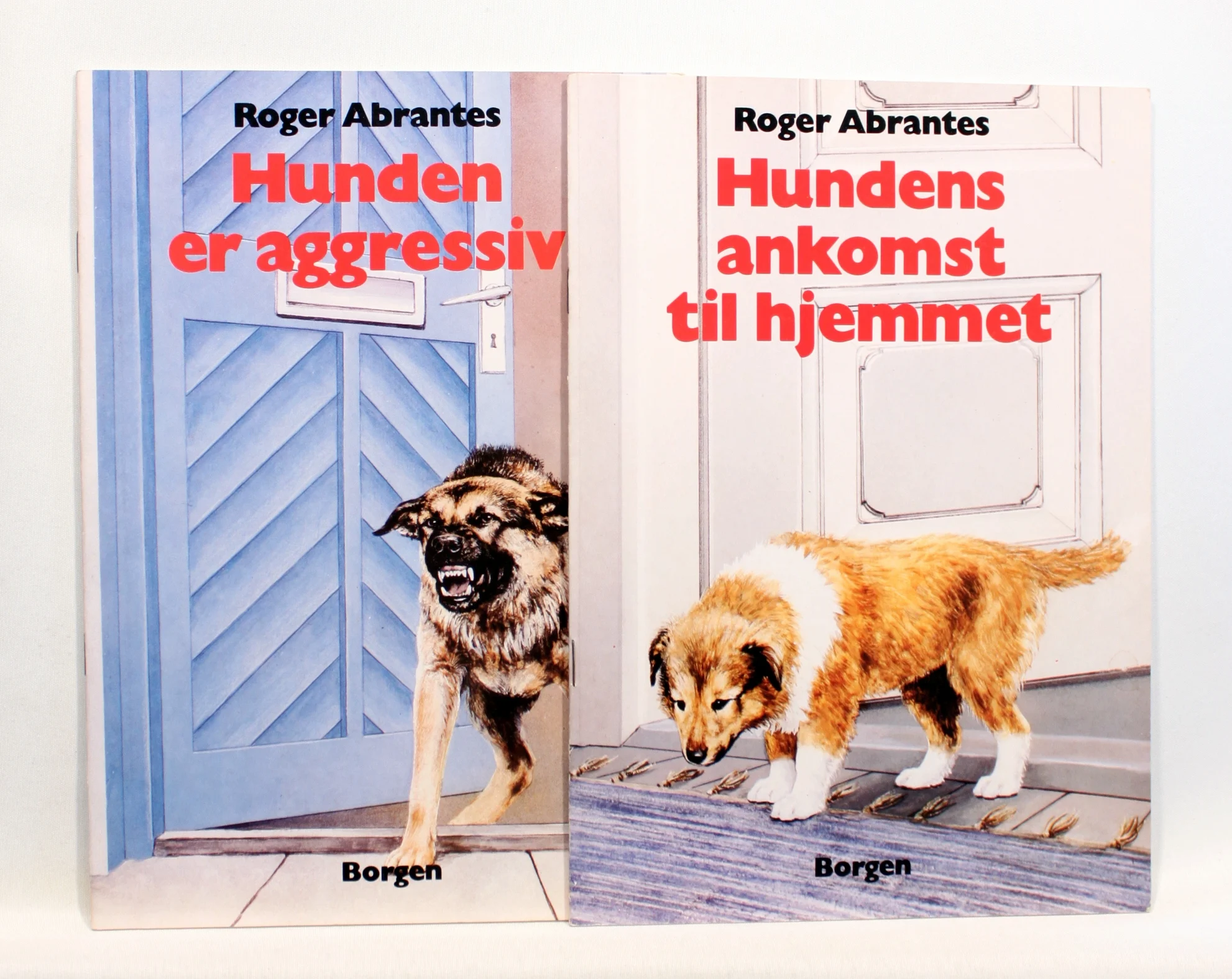 Hunden er aggressiv / Hundens ankomst til hjemmet