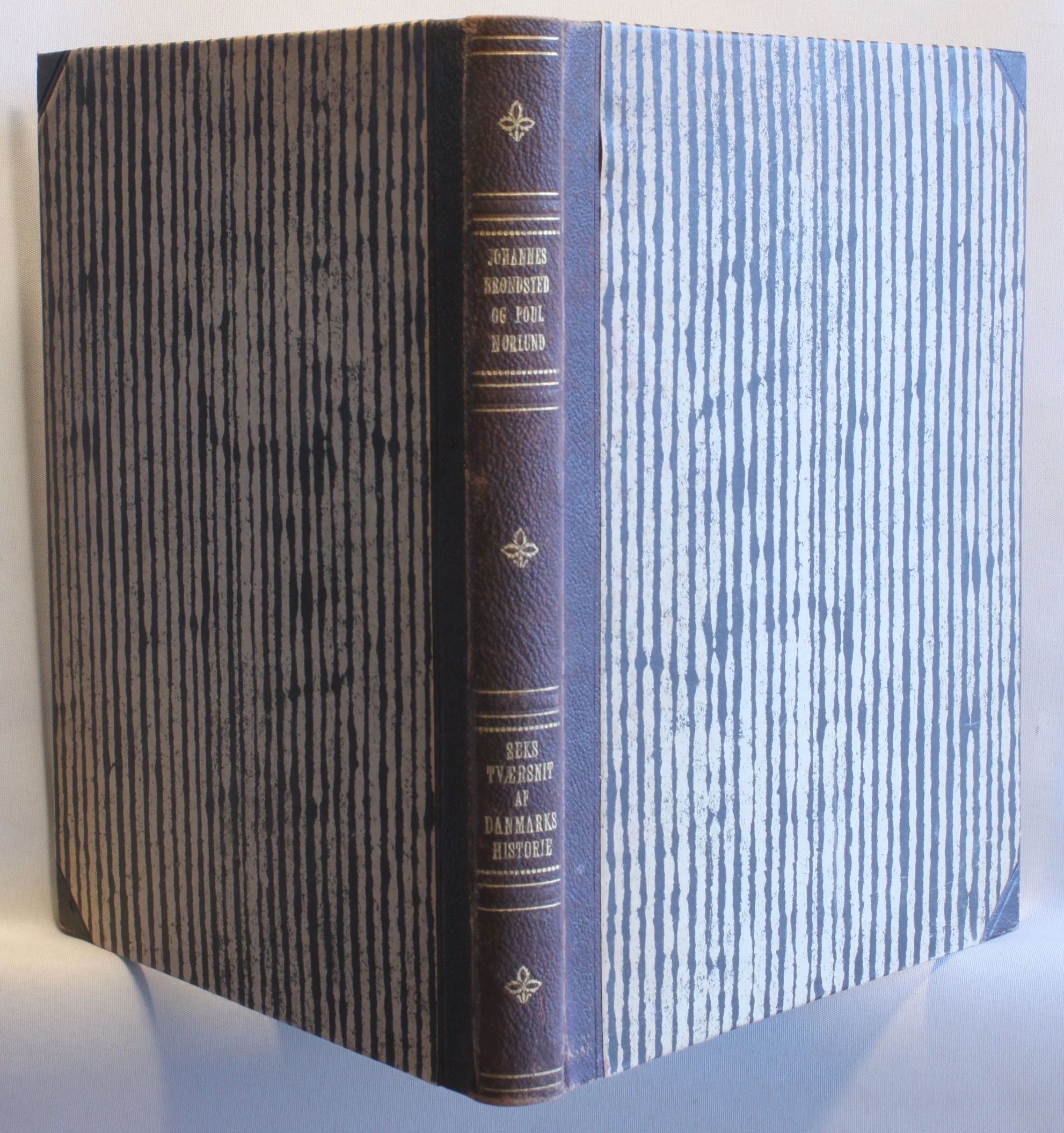 Seks tværsnit af Danmarks historie