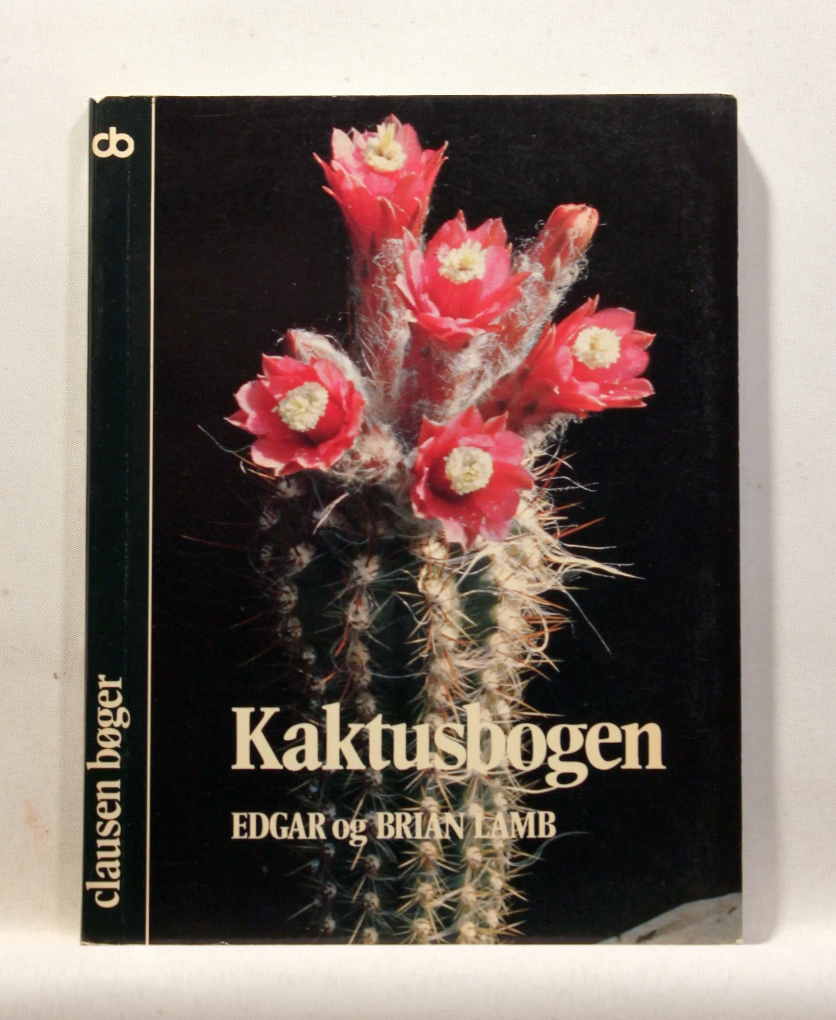 Kaktusbogen