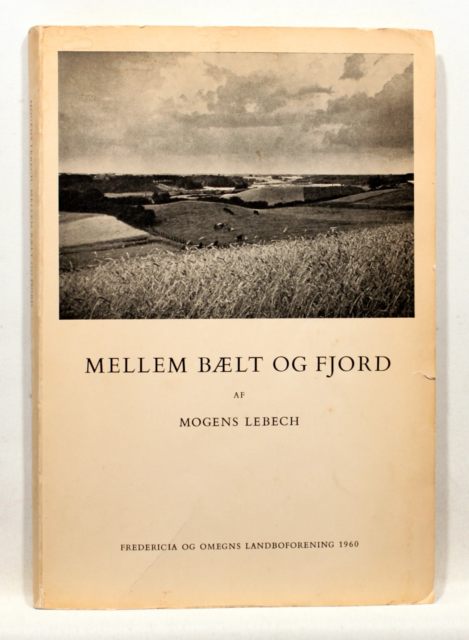 Mellem bælt og fjord