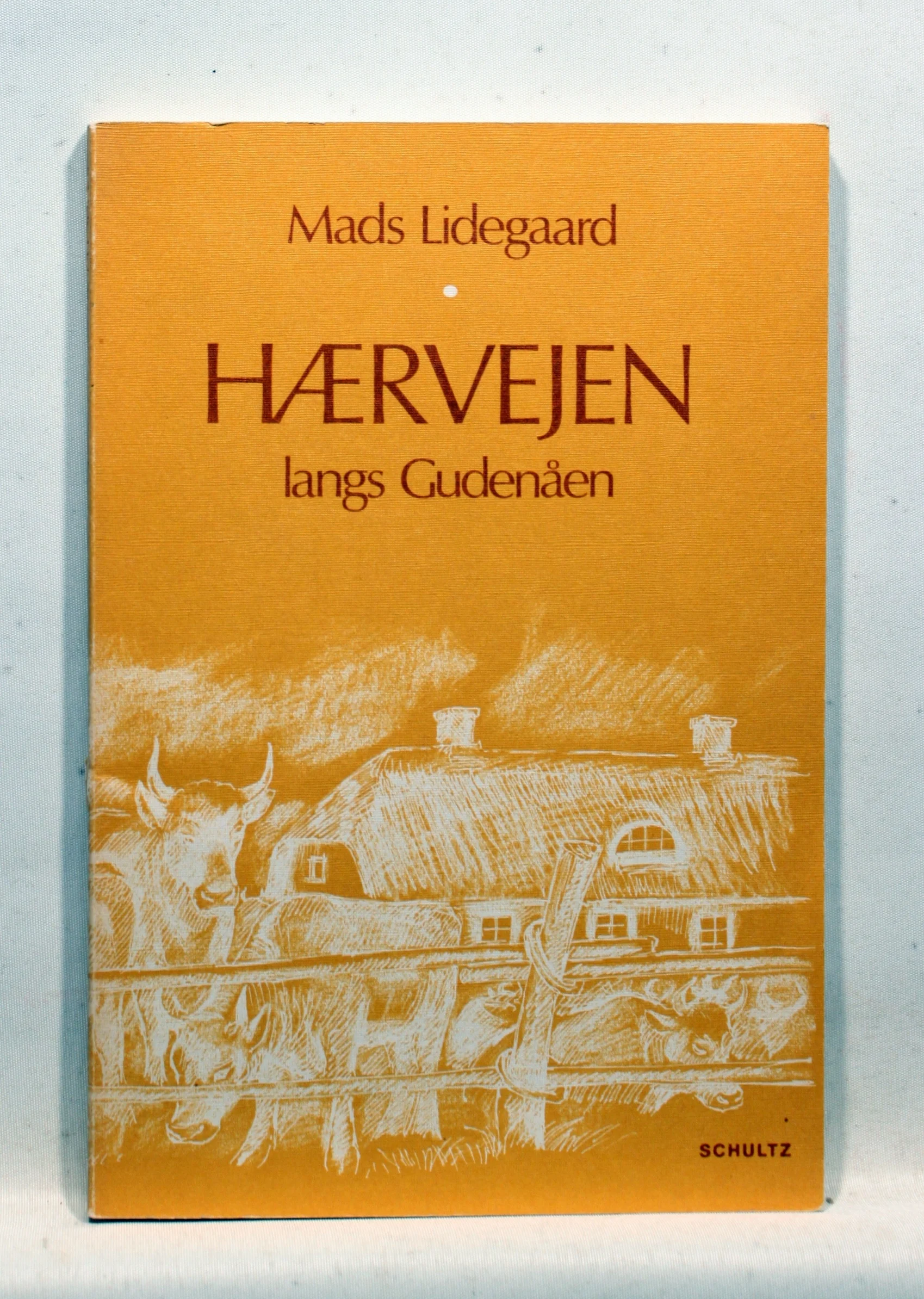 Hærvejen langs Gudenåen