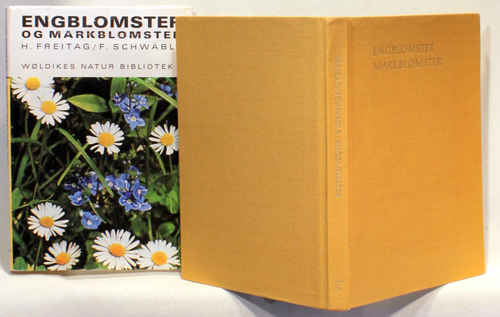 Engblomster og markblomster