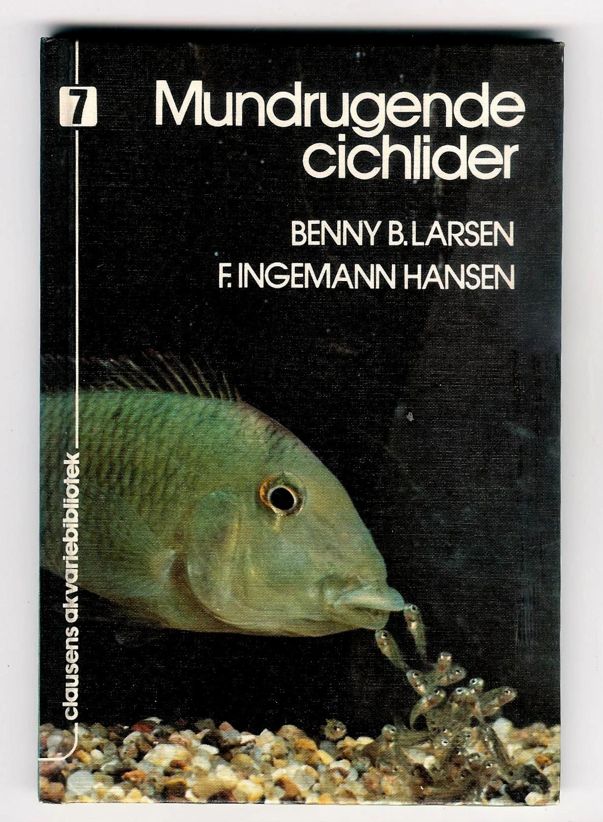 Mundrugende cichlider