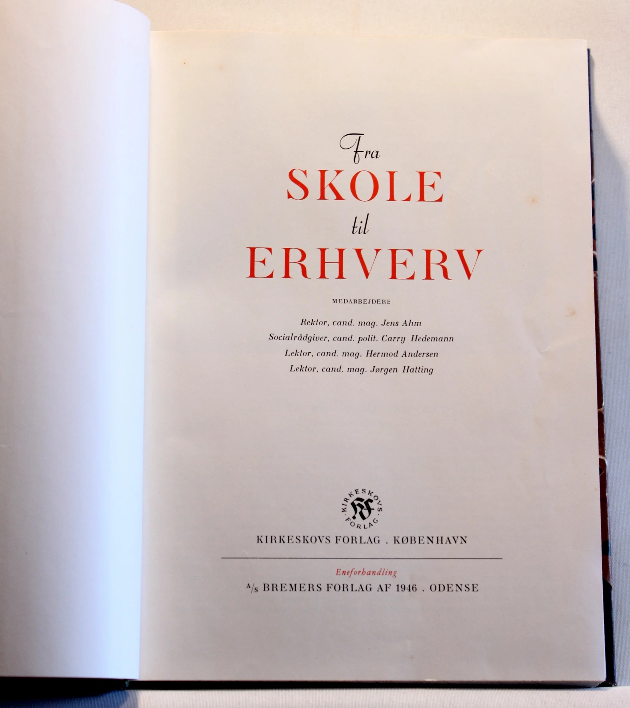 Fra skole til erhverv