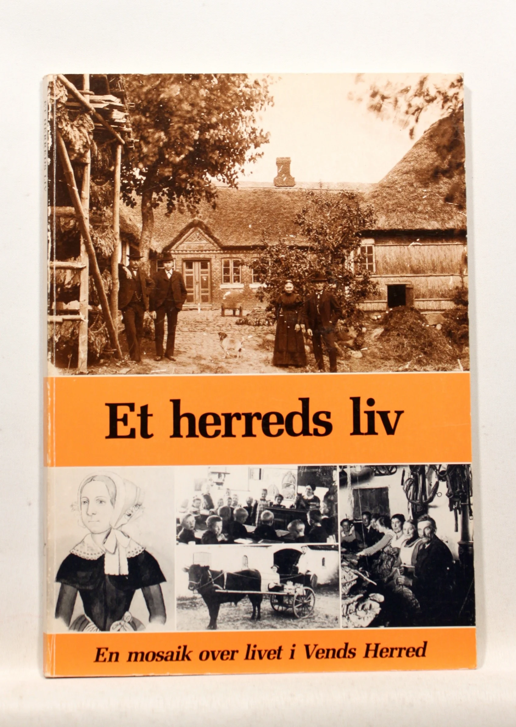 Et herreds liv. En mosaik over livet i Vends Herred