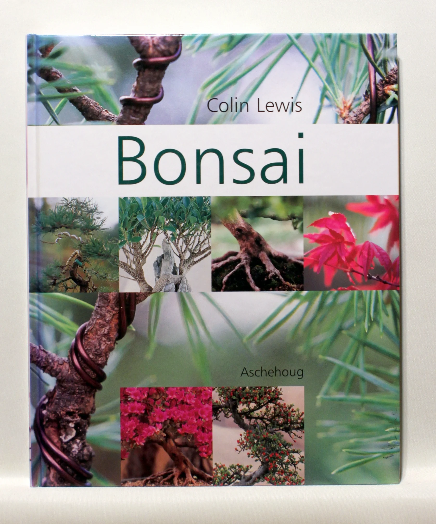 Bonsai