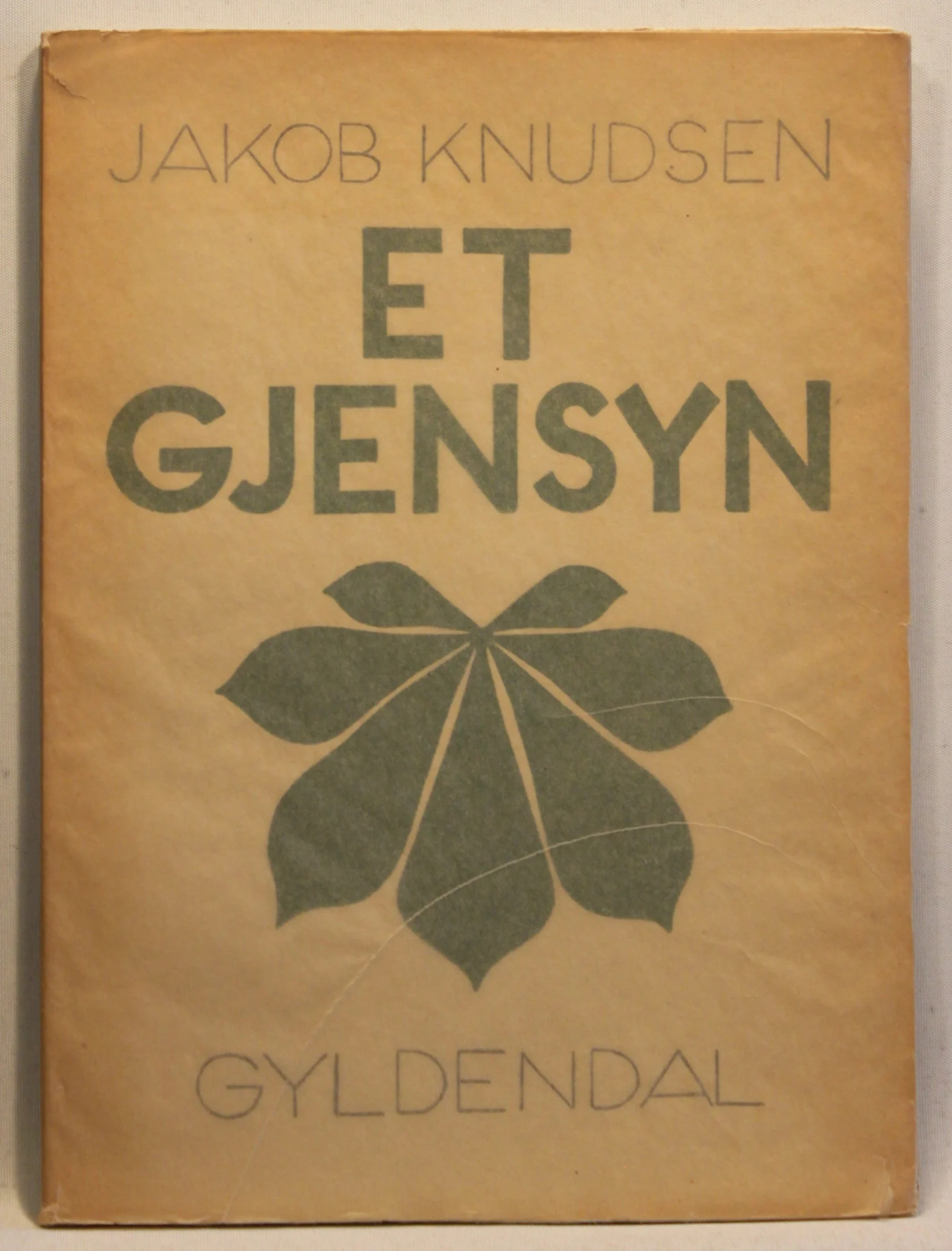 Et Gjensyn