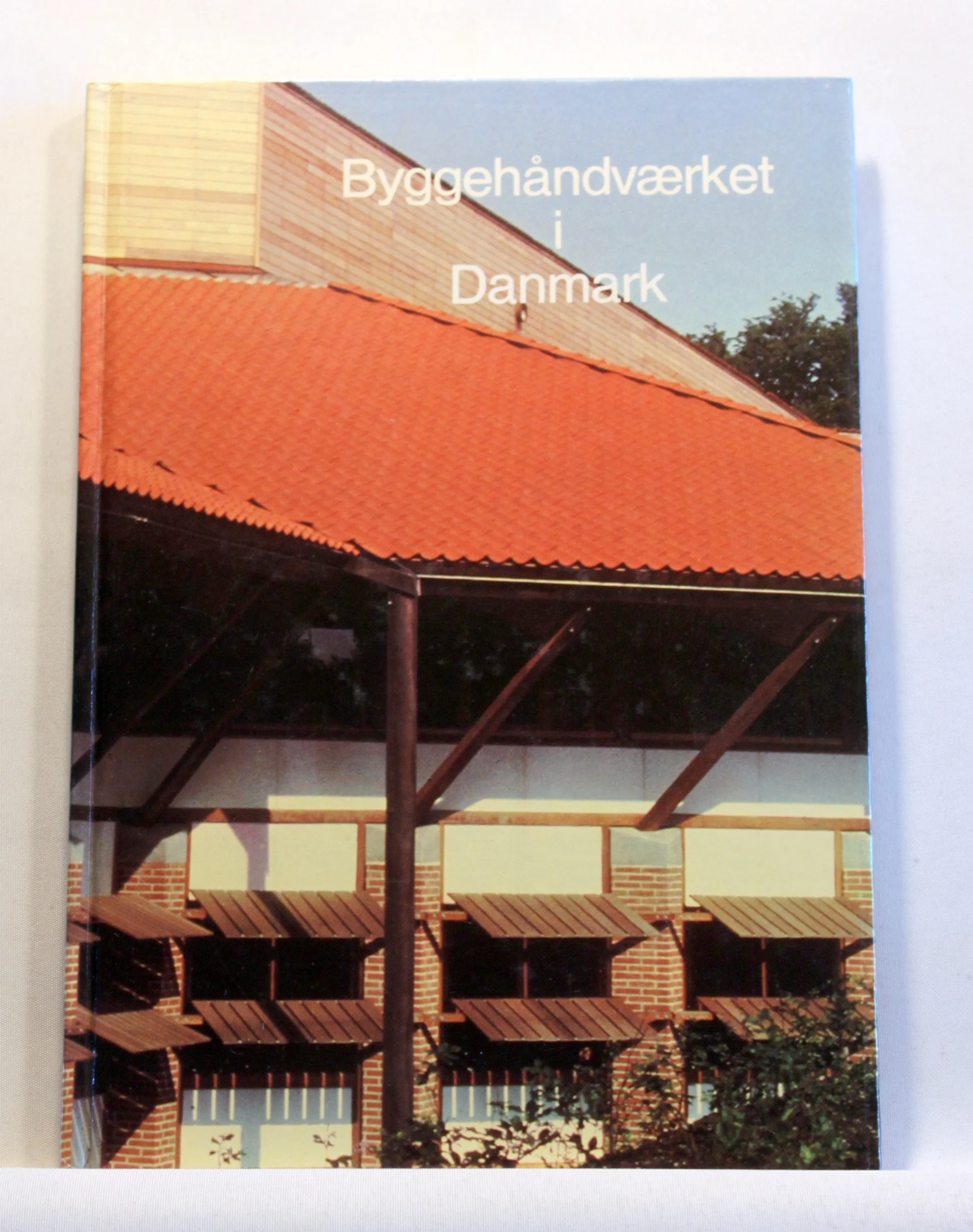 Byggehåndværket i Danmark