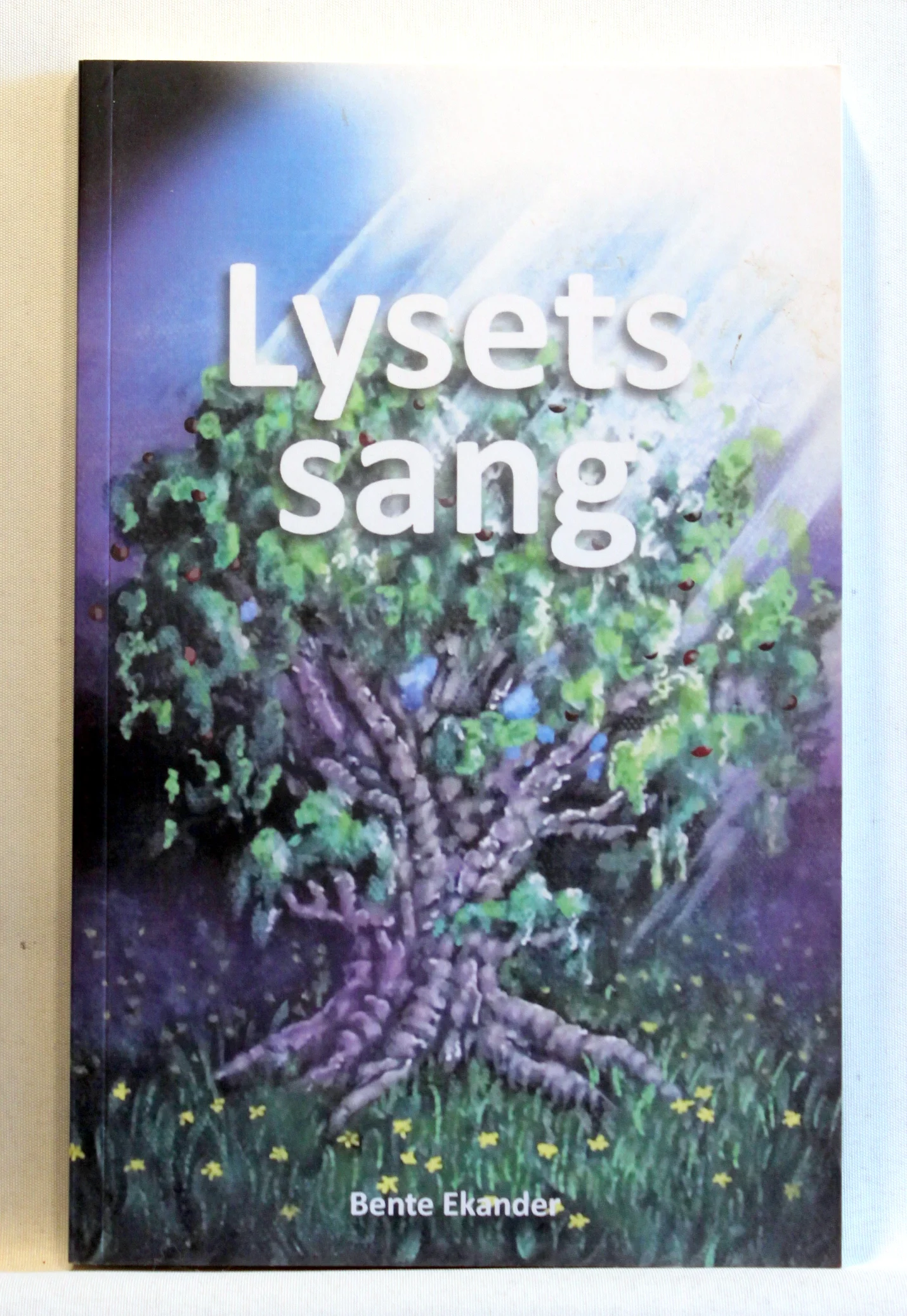 Lysets sang. Eventyrroman