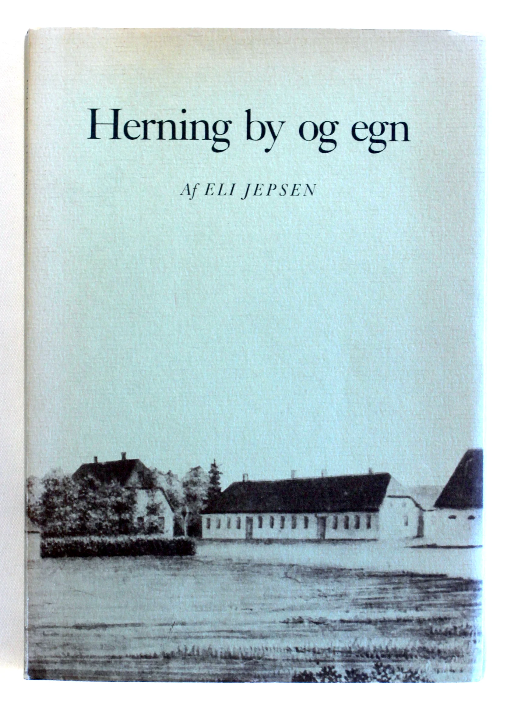 Herning by og egn