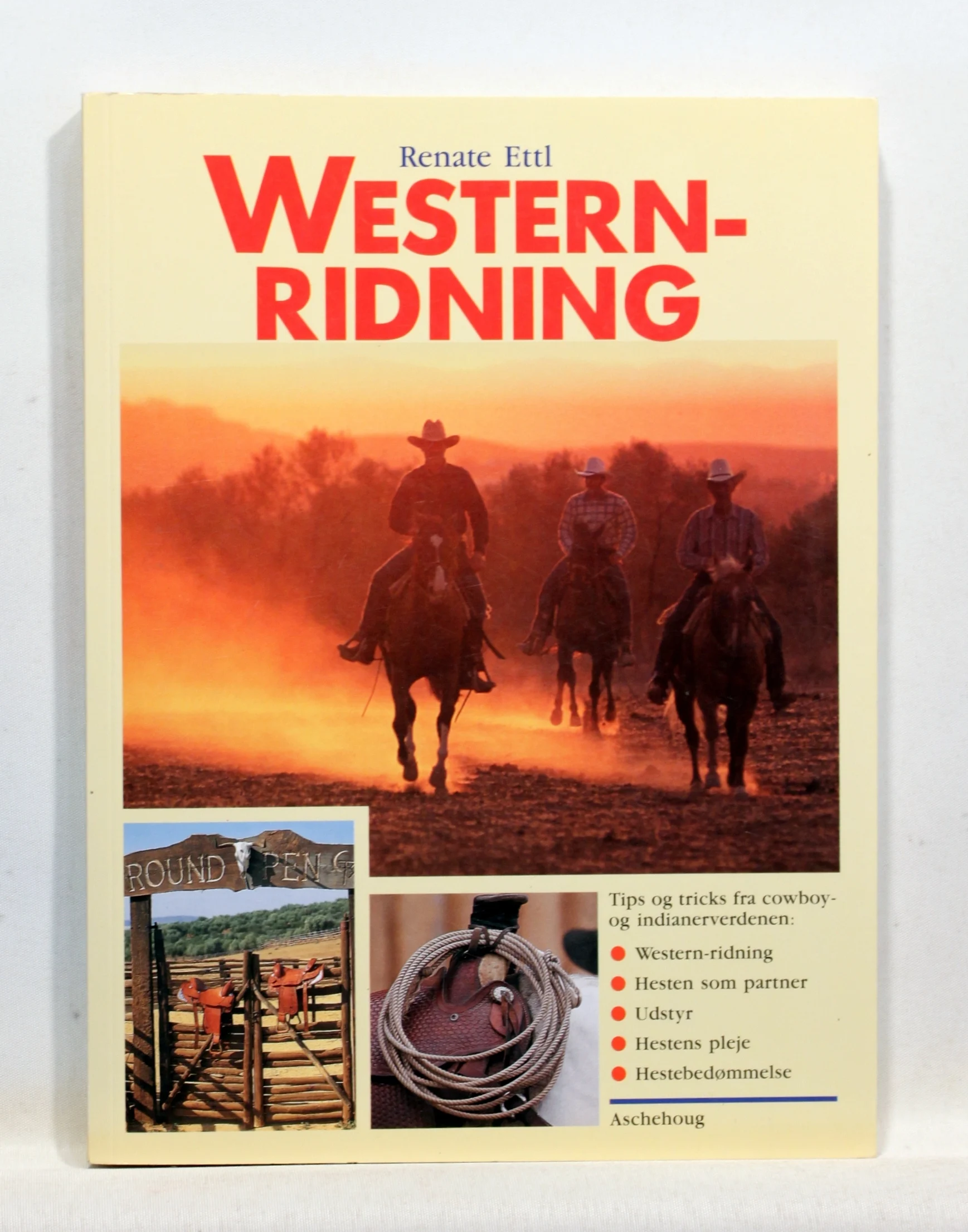 Westernridning