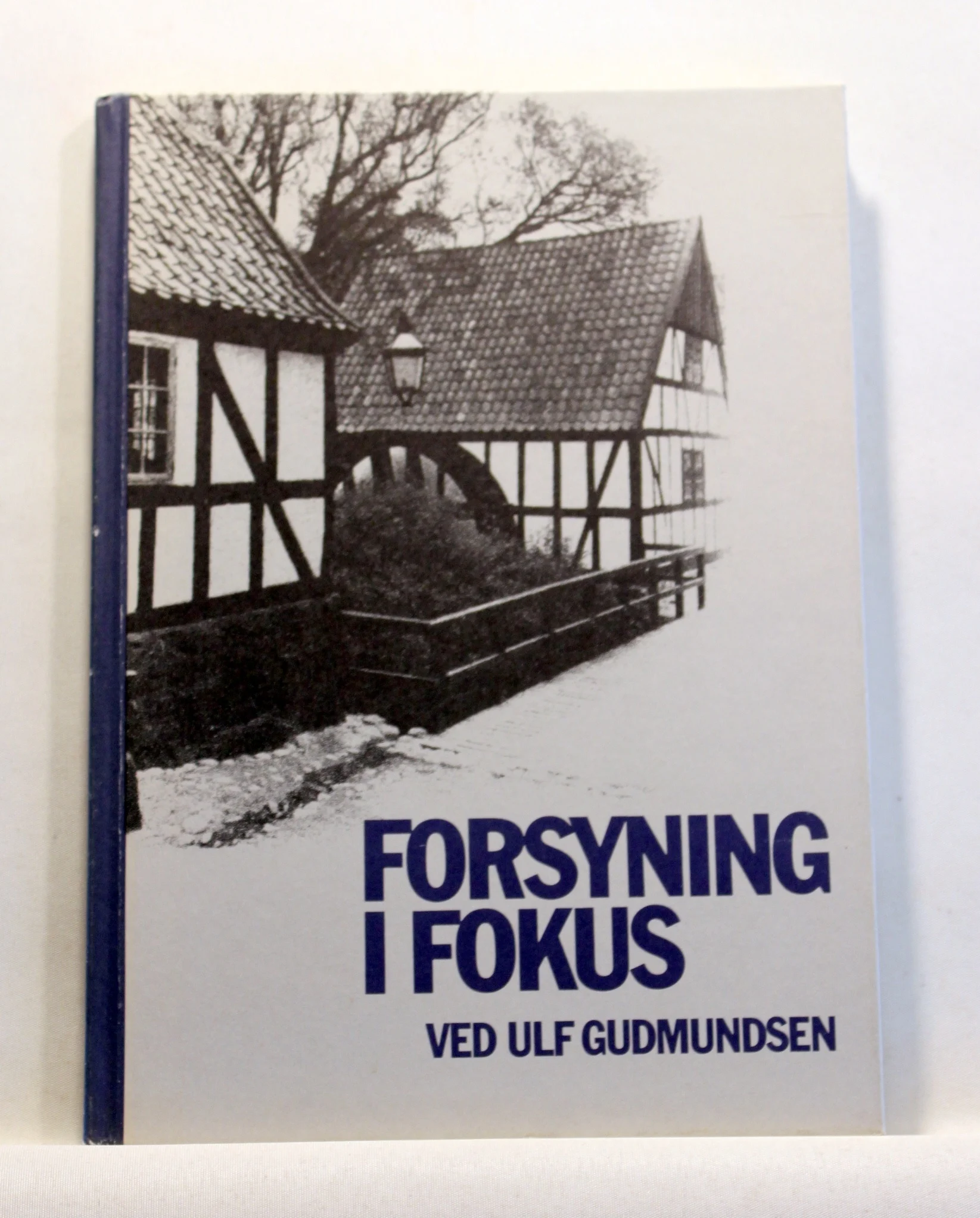 Forsyning i fokus