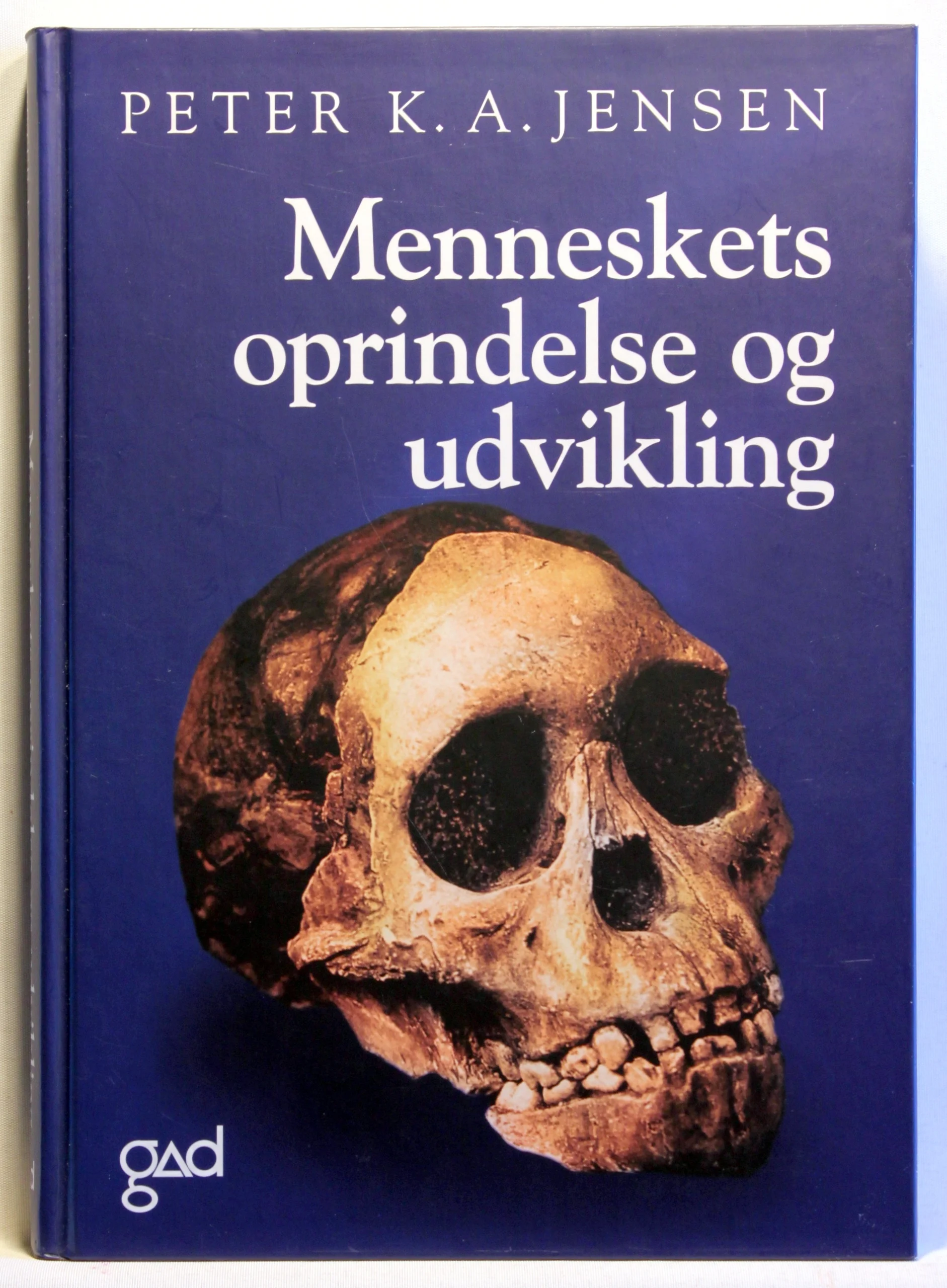 Menneskets oprindelse og udvikling