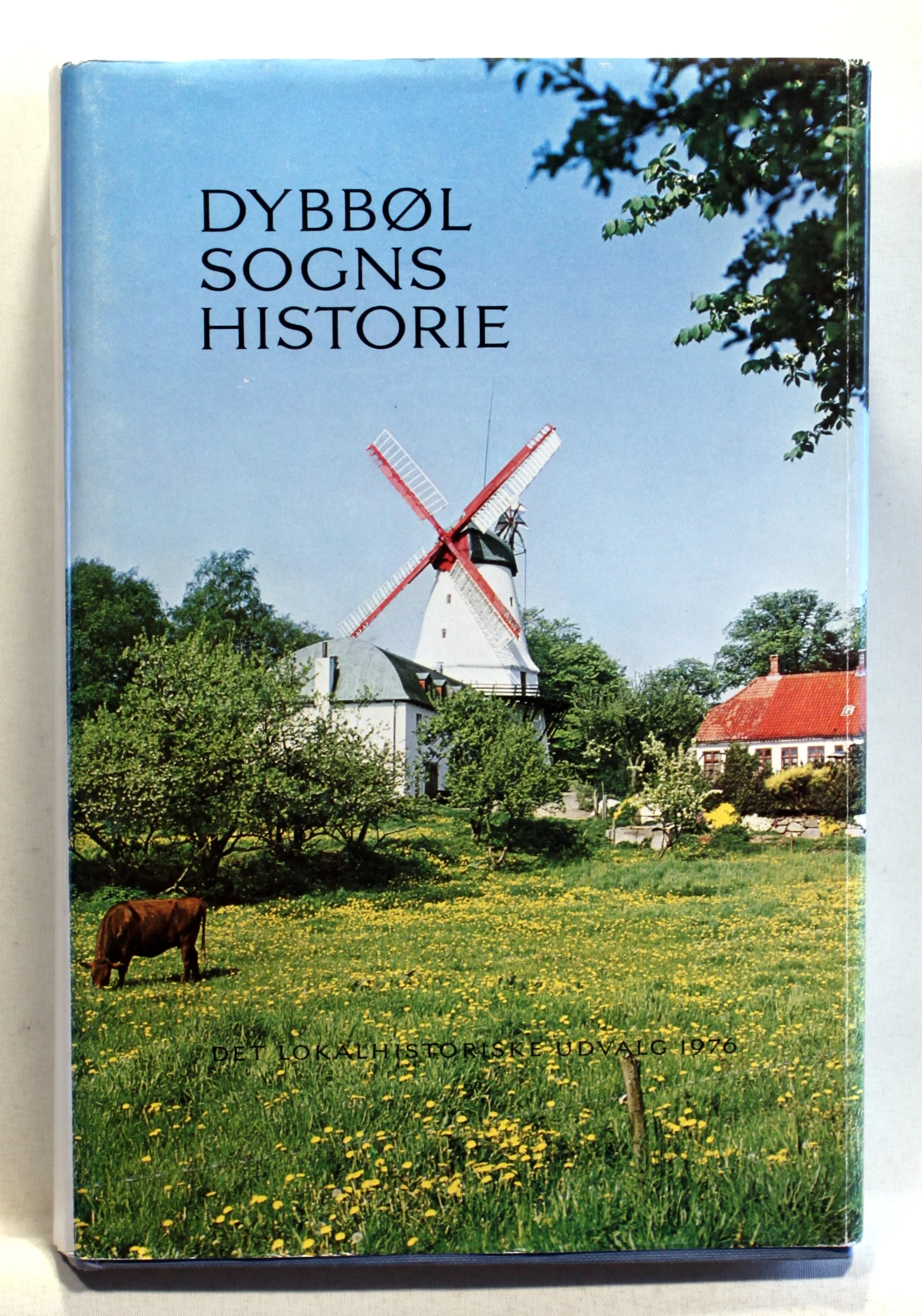 Dybbøl sogns historie