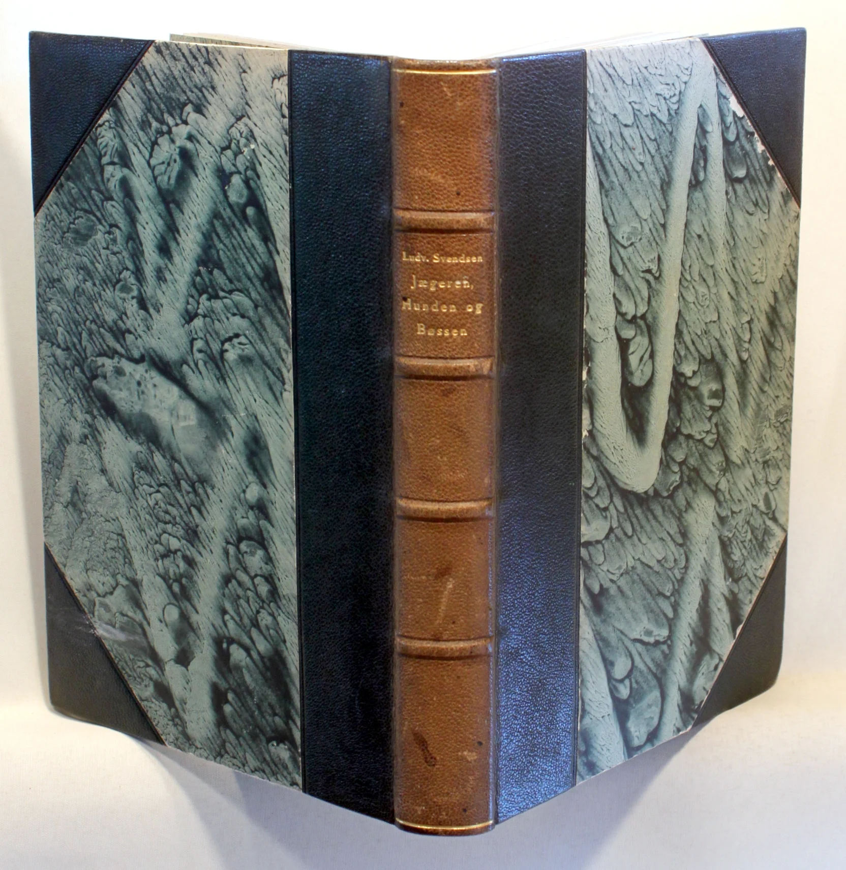 Jægeren, hunden og bøssen. Haandbog om jagt, fauna, jagthunde og skydning