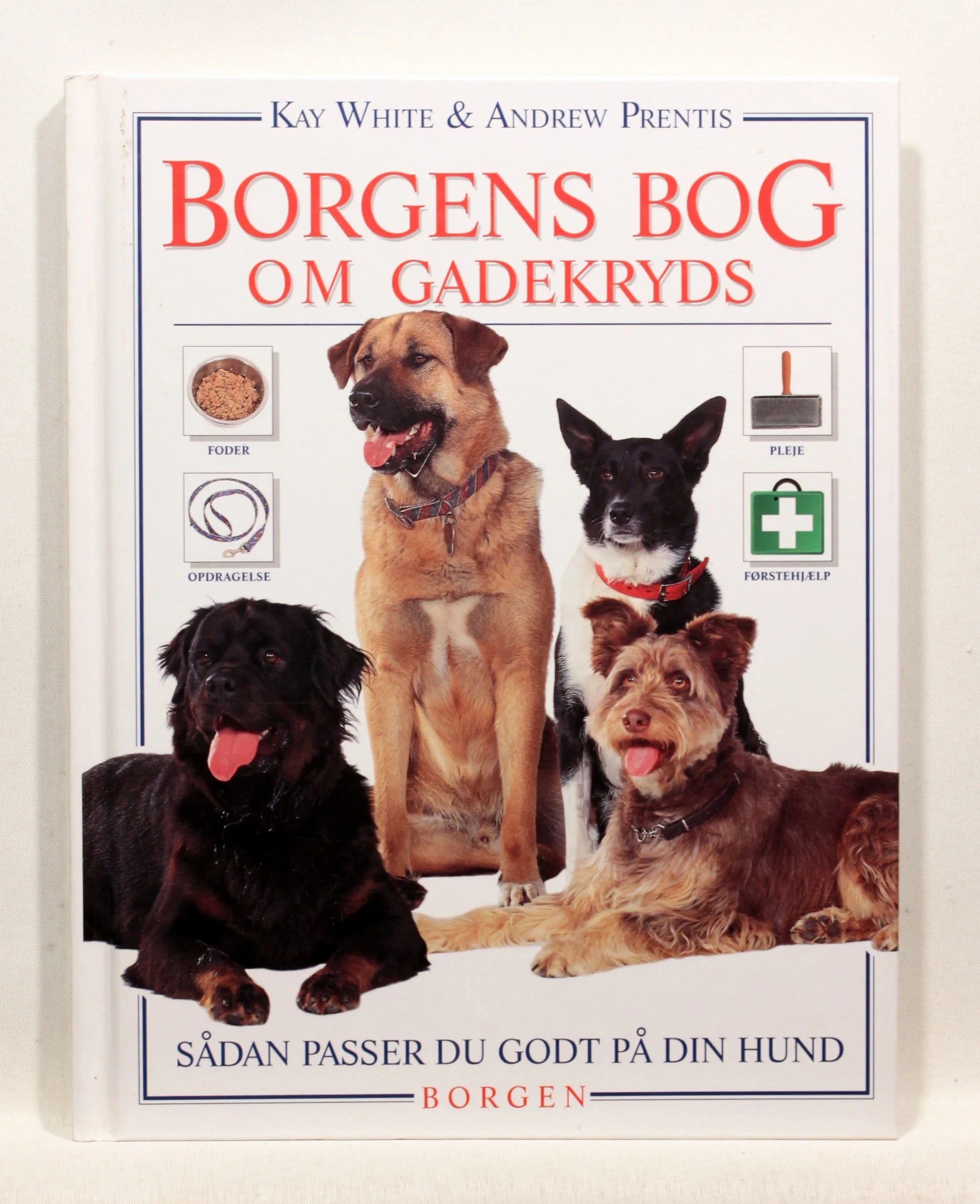 Borgens bog om gadekryds