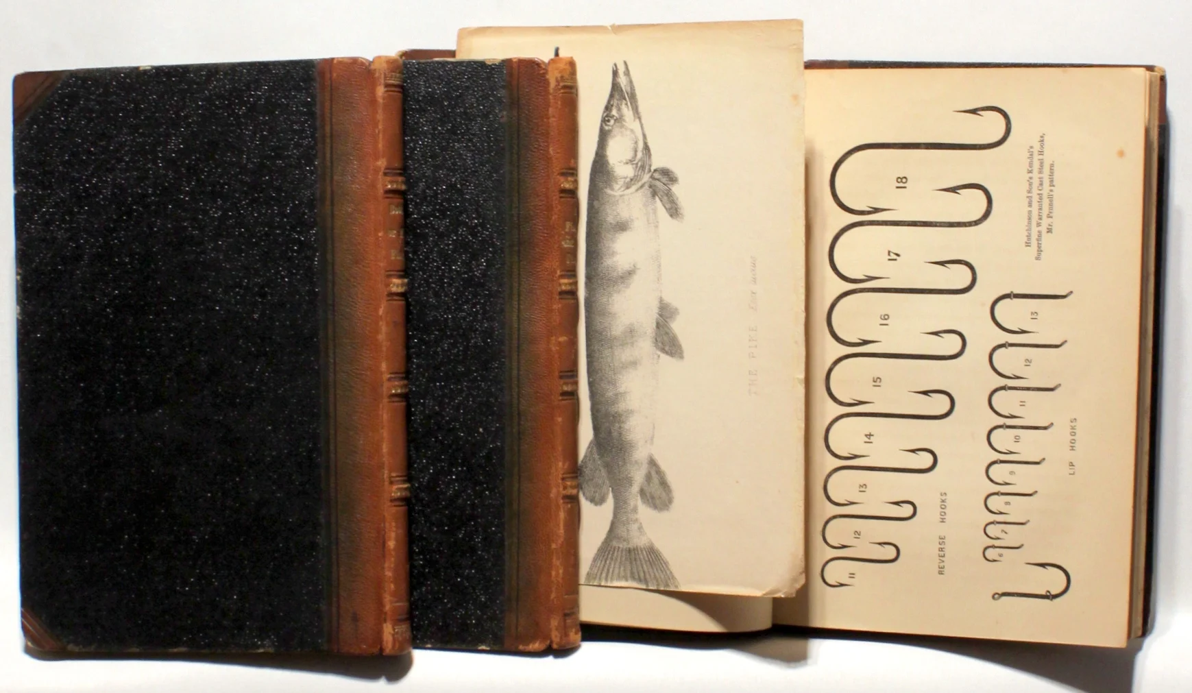 Fly-Fishing and Worm-Fishing. Bottom or Float-Fishing. Trolling for Pike, Salmon and Trout