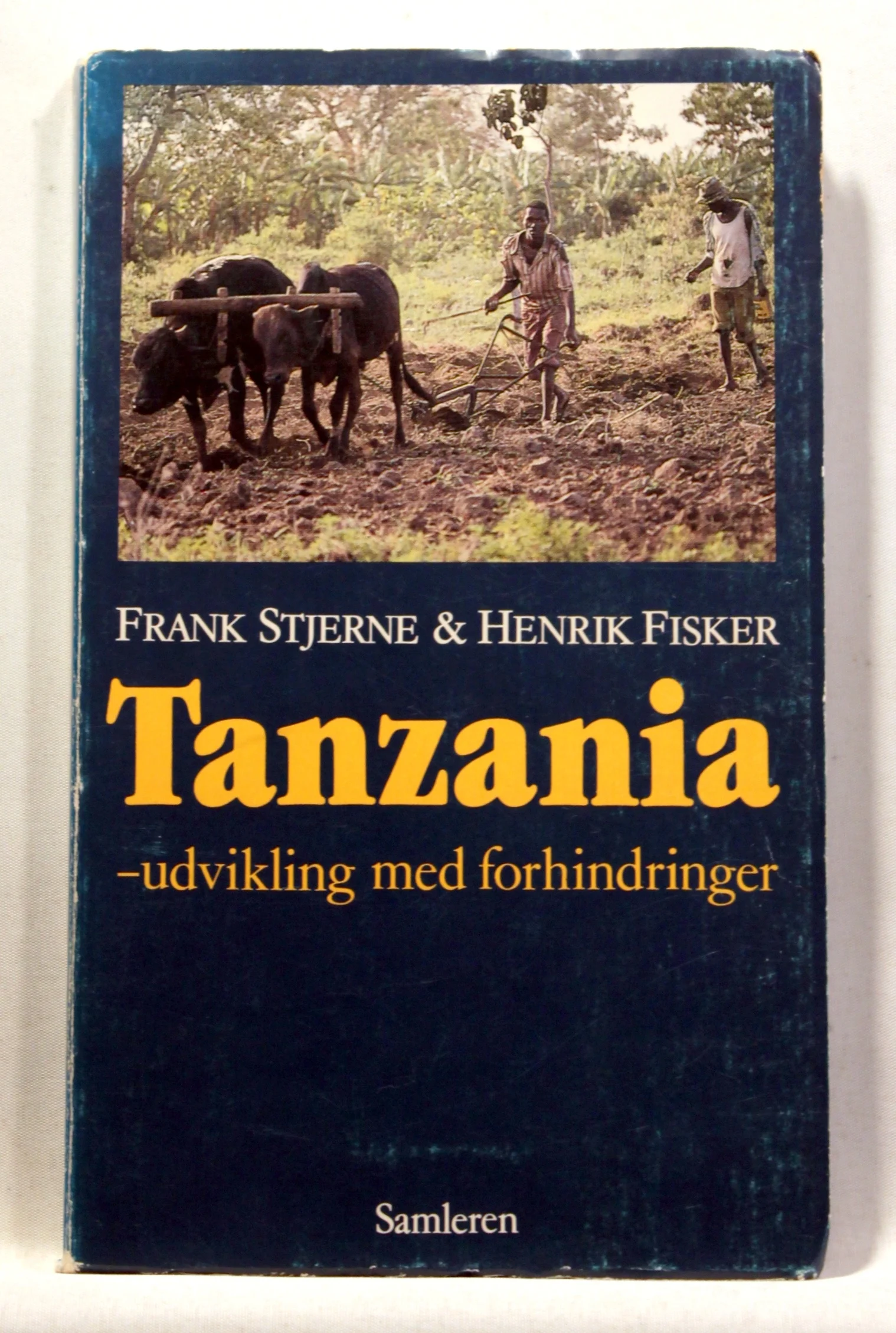 Tanzania – udvikling med forhindringer
