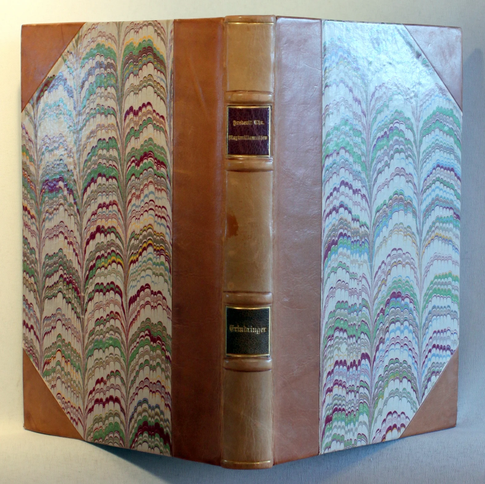 Erindringer af mit liv og om min familie