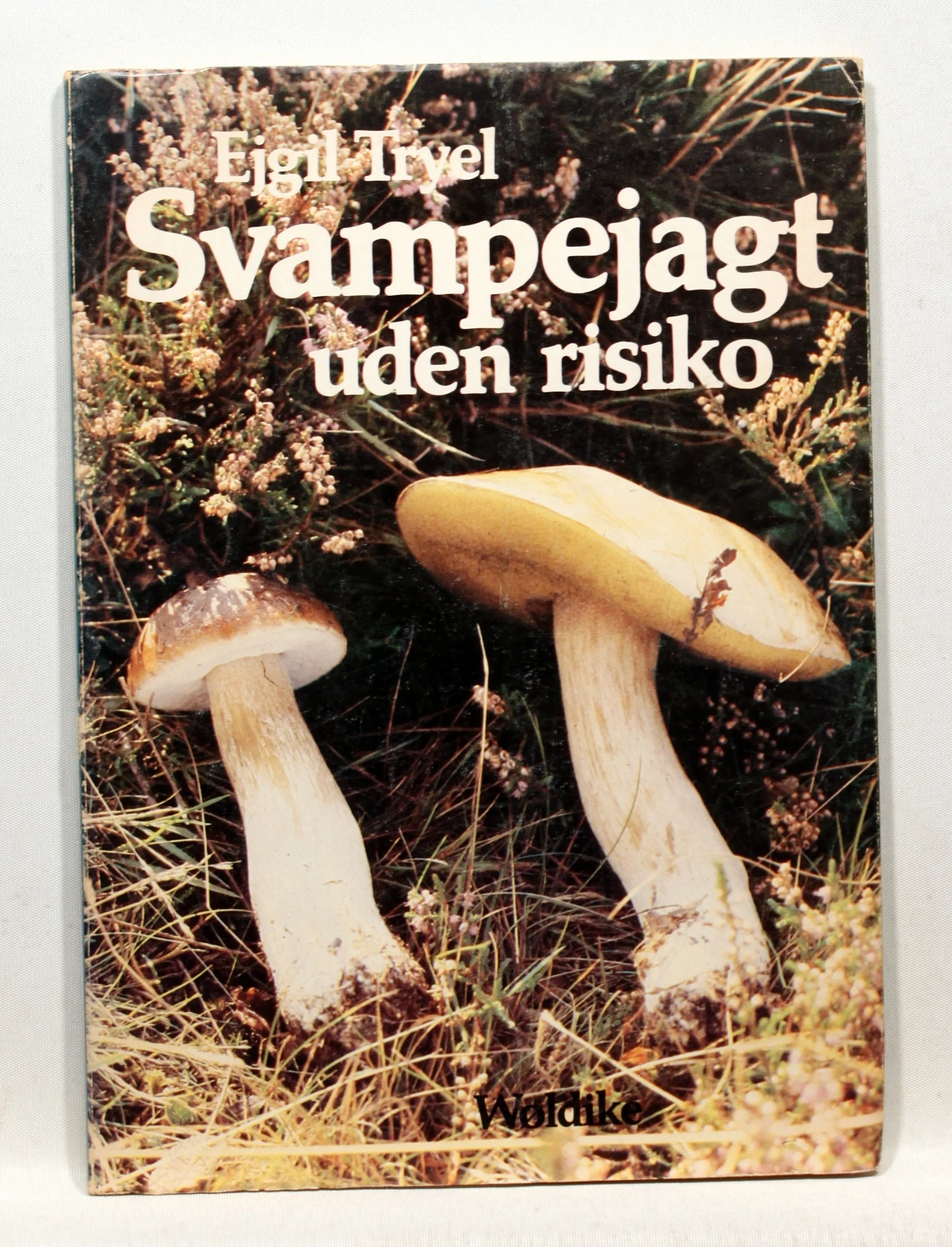 Svampejagt uden risiko