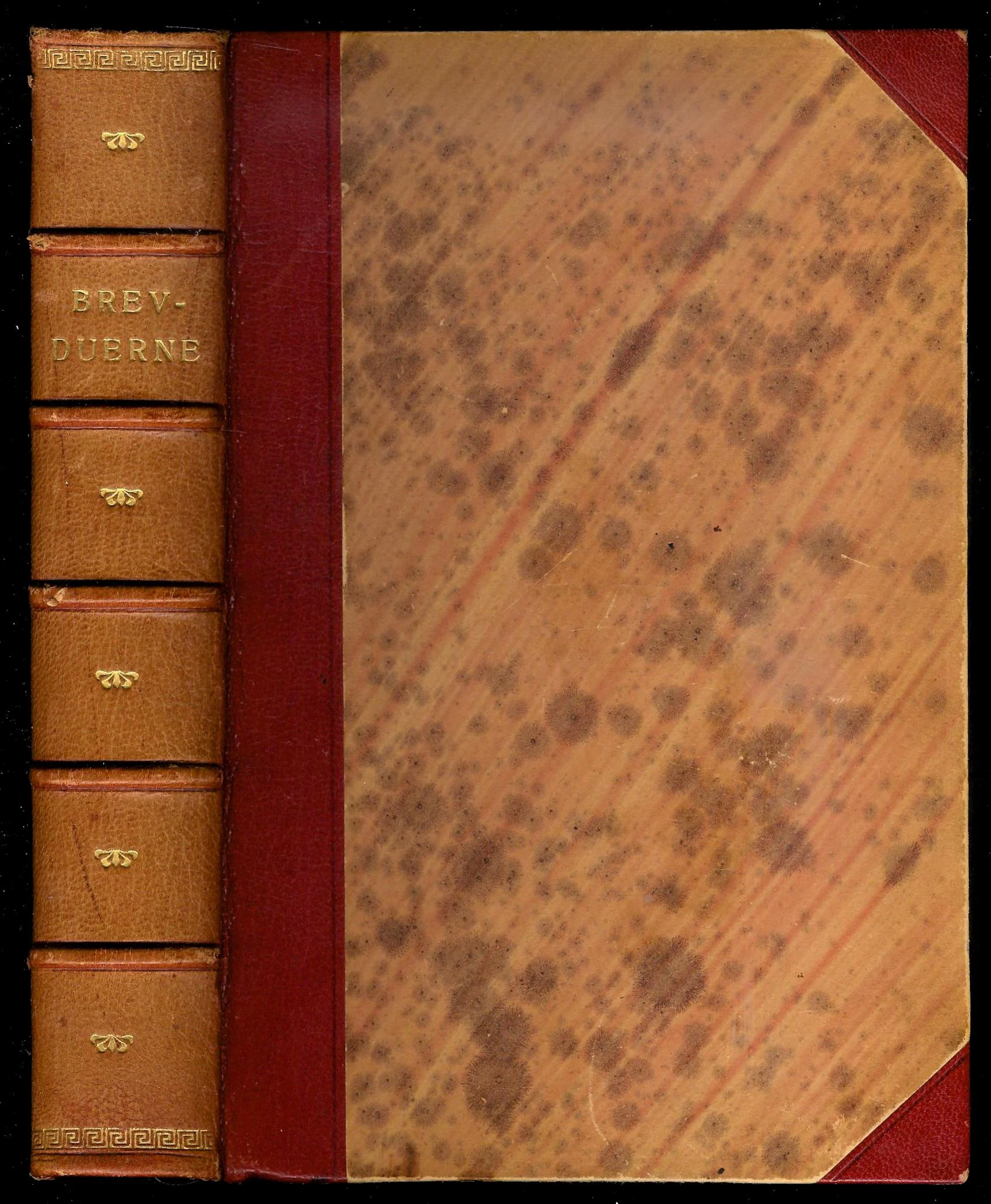 Brevduerne. Haandbog i Brevduesporten